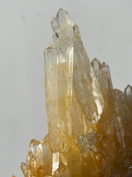 “Helios' Crown” Golden Healer Faden Quartz Specimen H