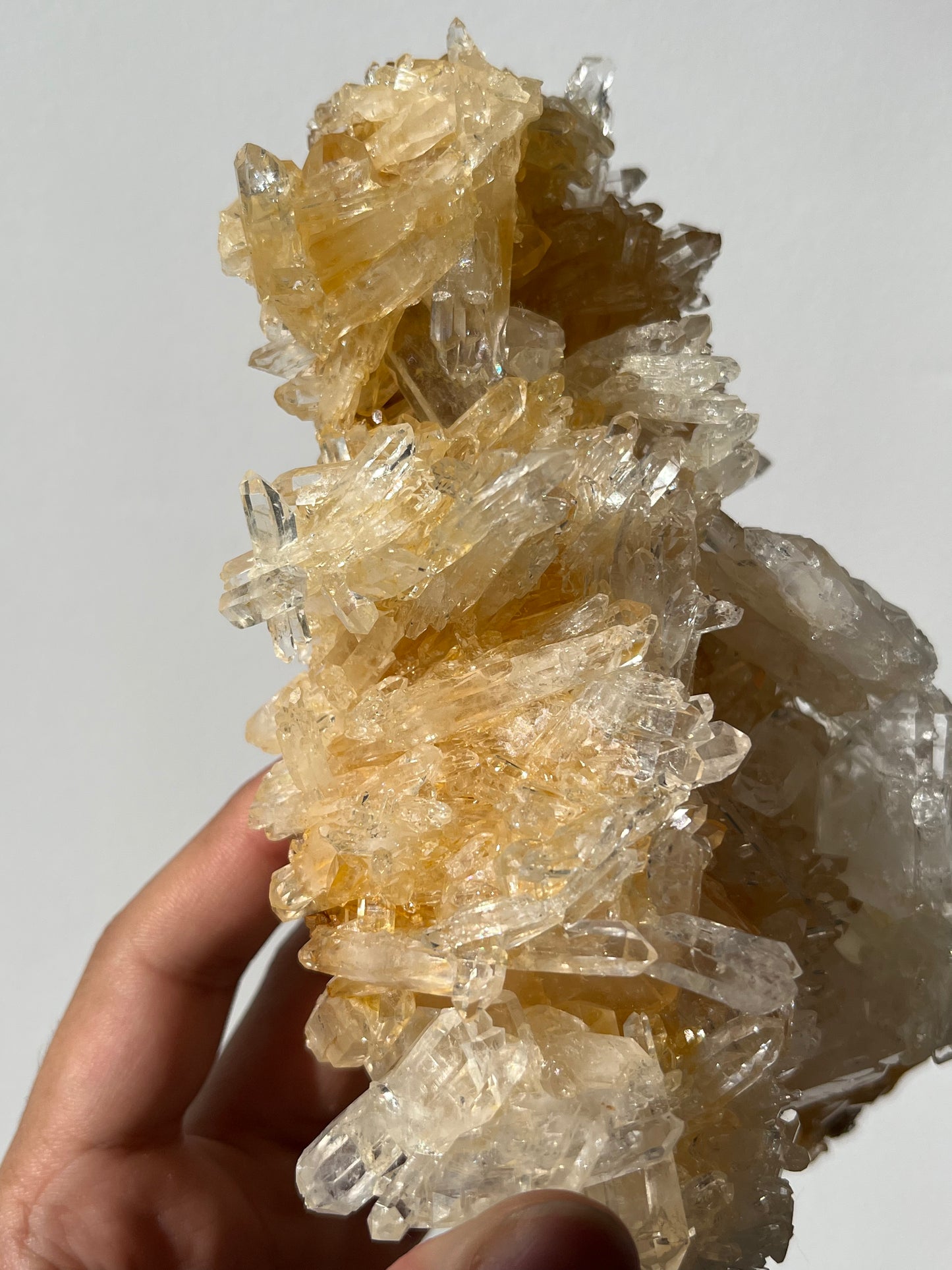 “Altar of Light” Golden Healer Faden Quartz Specimen C