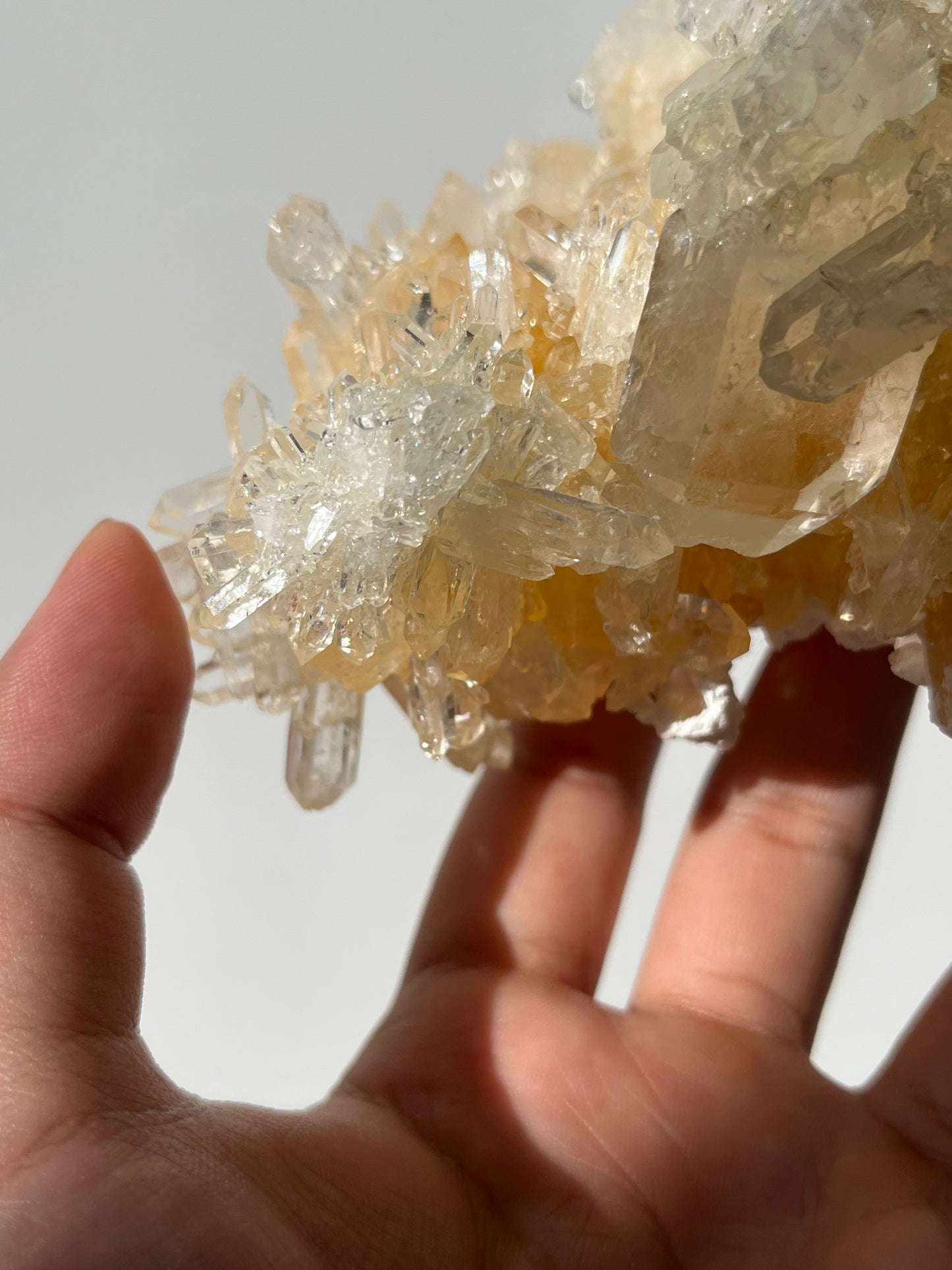 “Altar of Light” Golden Healer Faden Quartz Specimen C