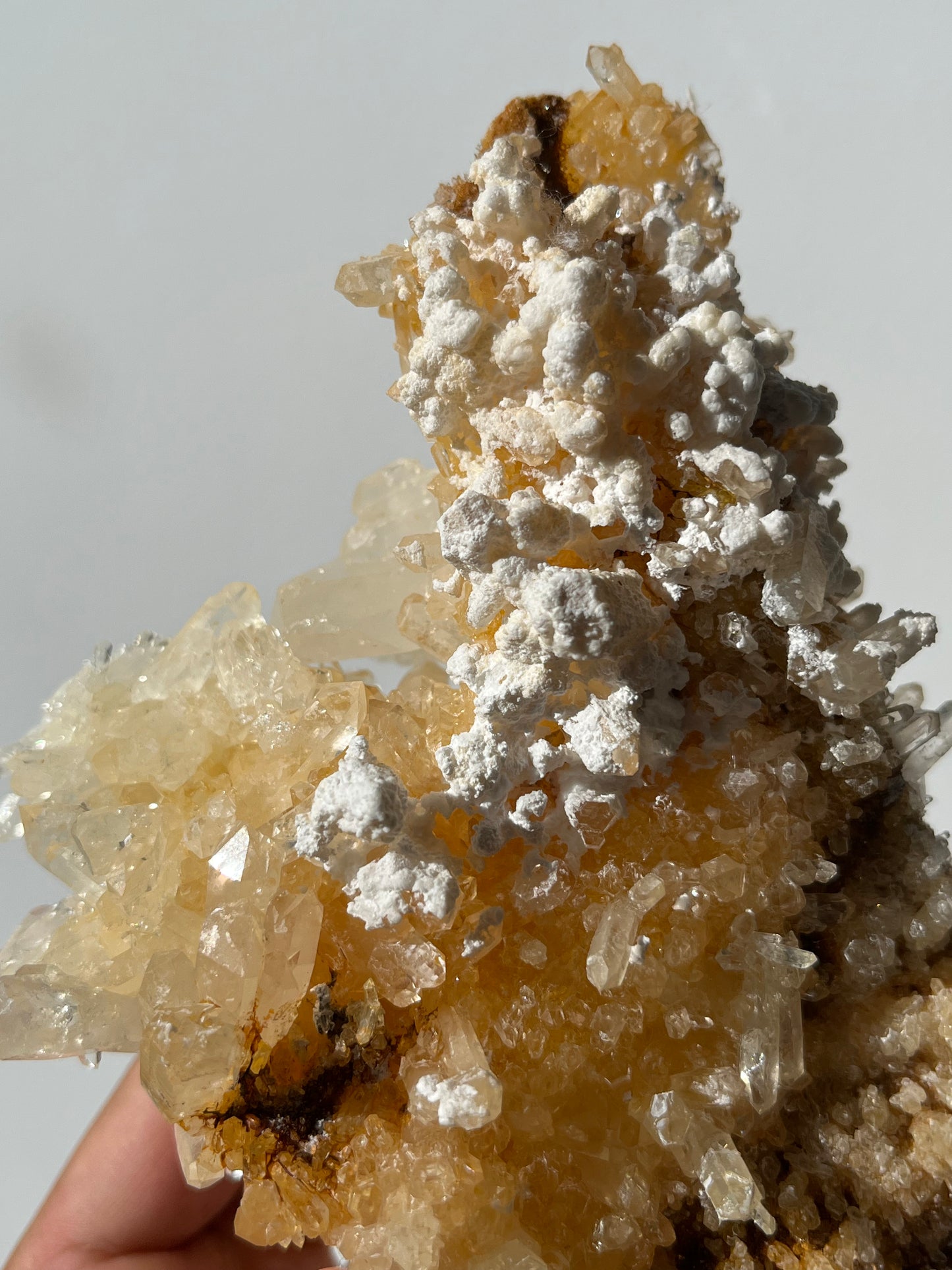 “Altar of Light” Golden Healer Faden Quartz Specimen C