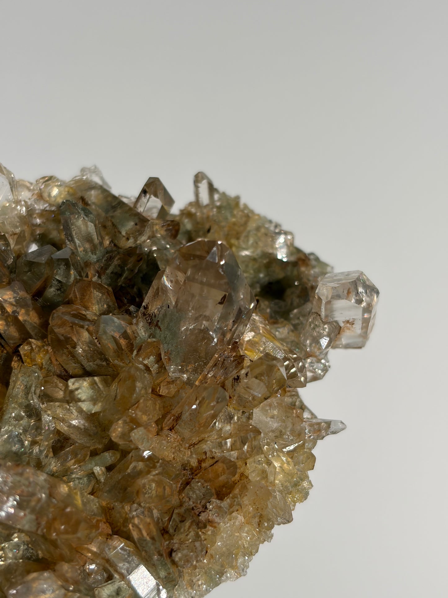 Golden Healer Chlorite Included Quartz Specimen F