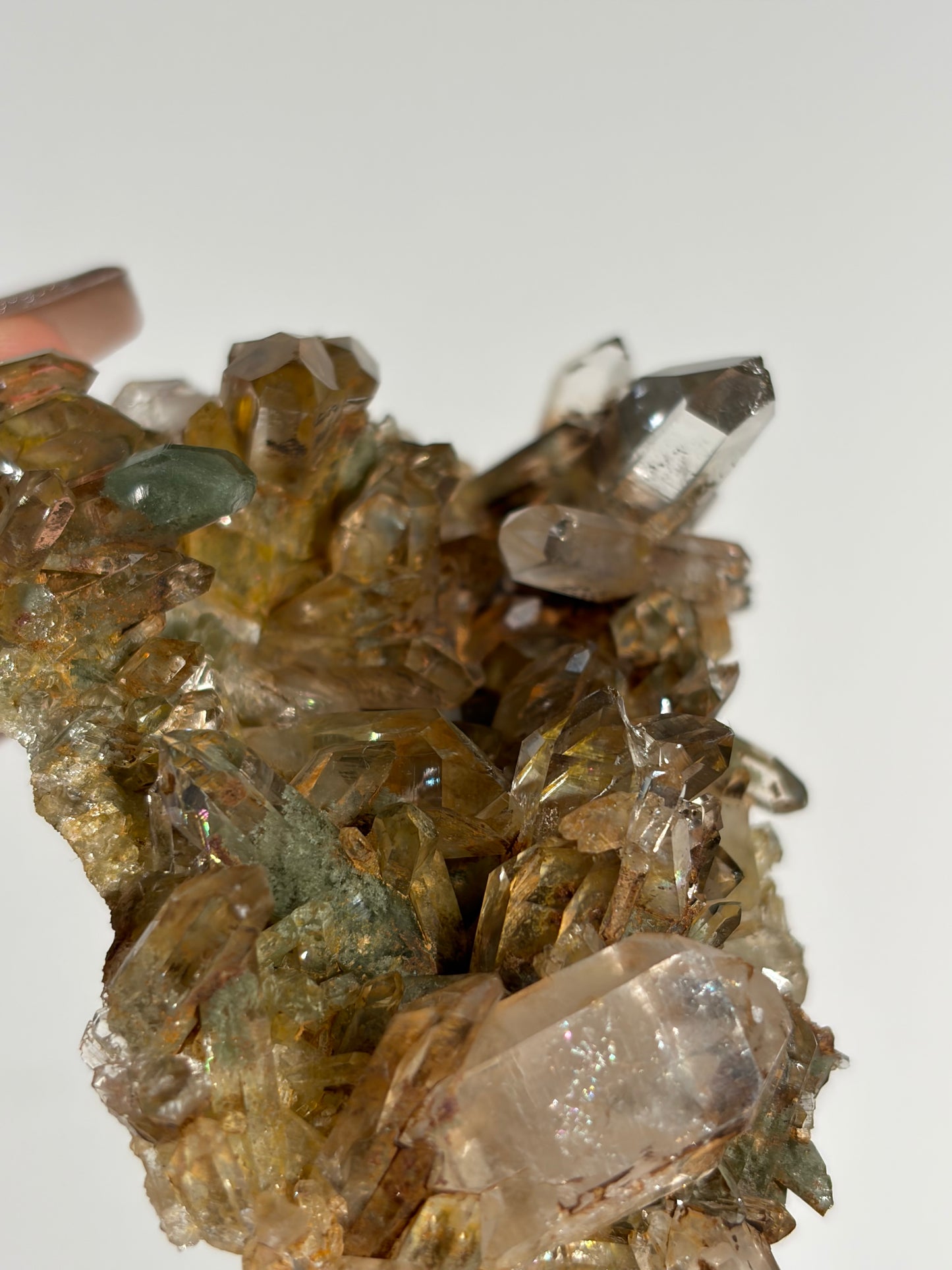 Water Clear Golden Healer Chlorite Included Quartz Specimen G