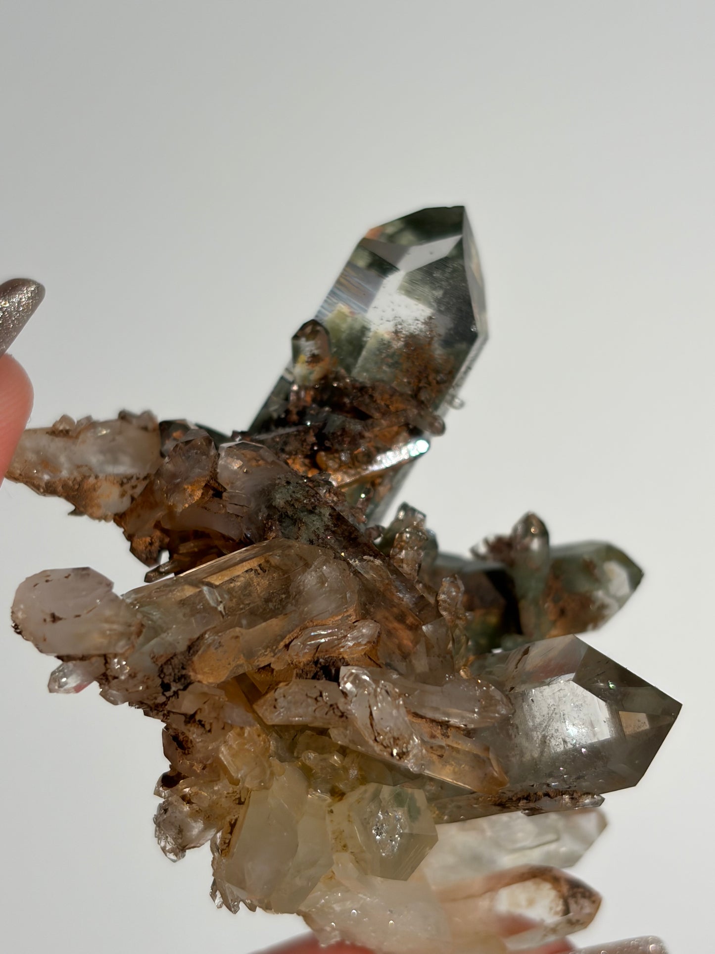 Water Clear Golden Healer Chlorite Included Quartz Specimen H