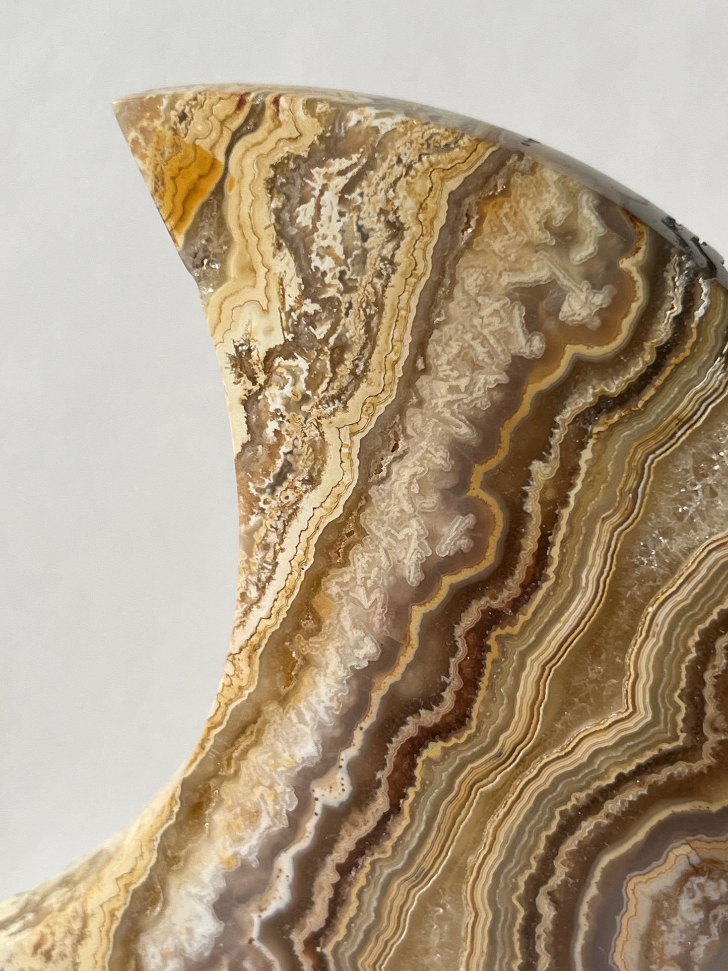 High Grade Golden Lace Agate Moon Carving on Stand with Parallax Effect B