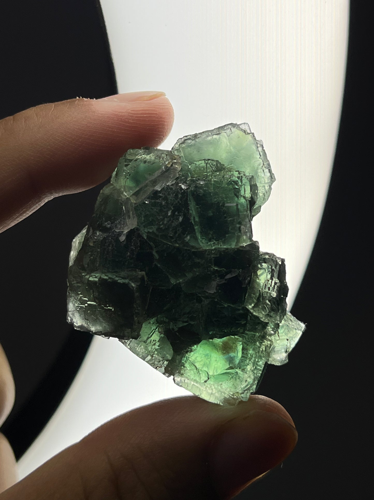 Green Okorusu Fluorite Specimen A