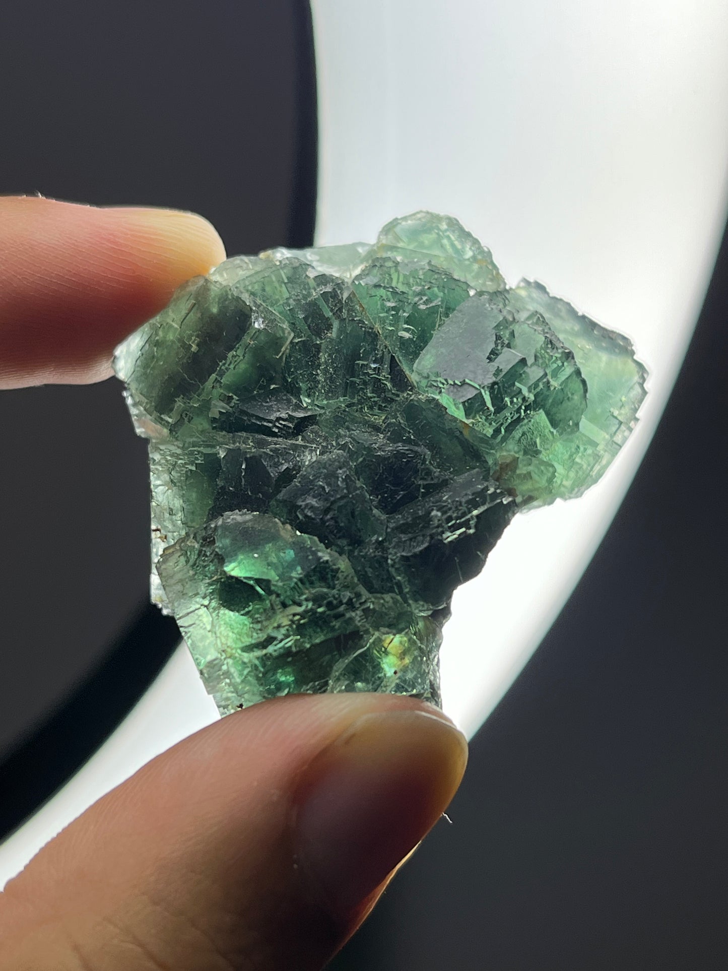 Green Okorusu Fluorite Specimen A