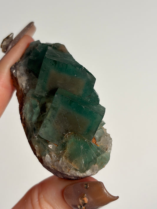 Halo Garden Fluorite Specimen A