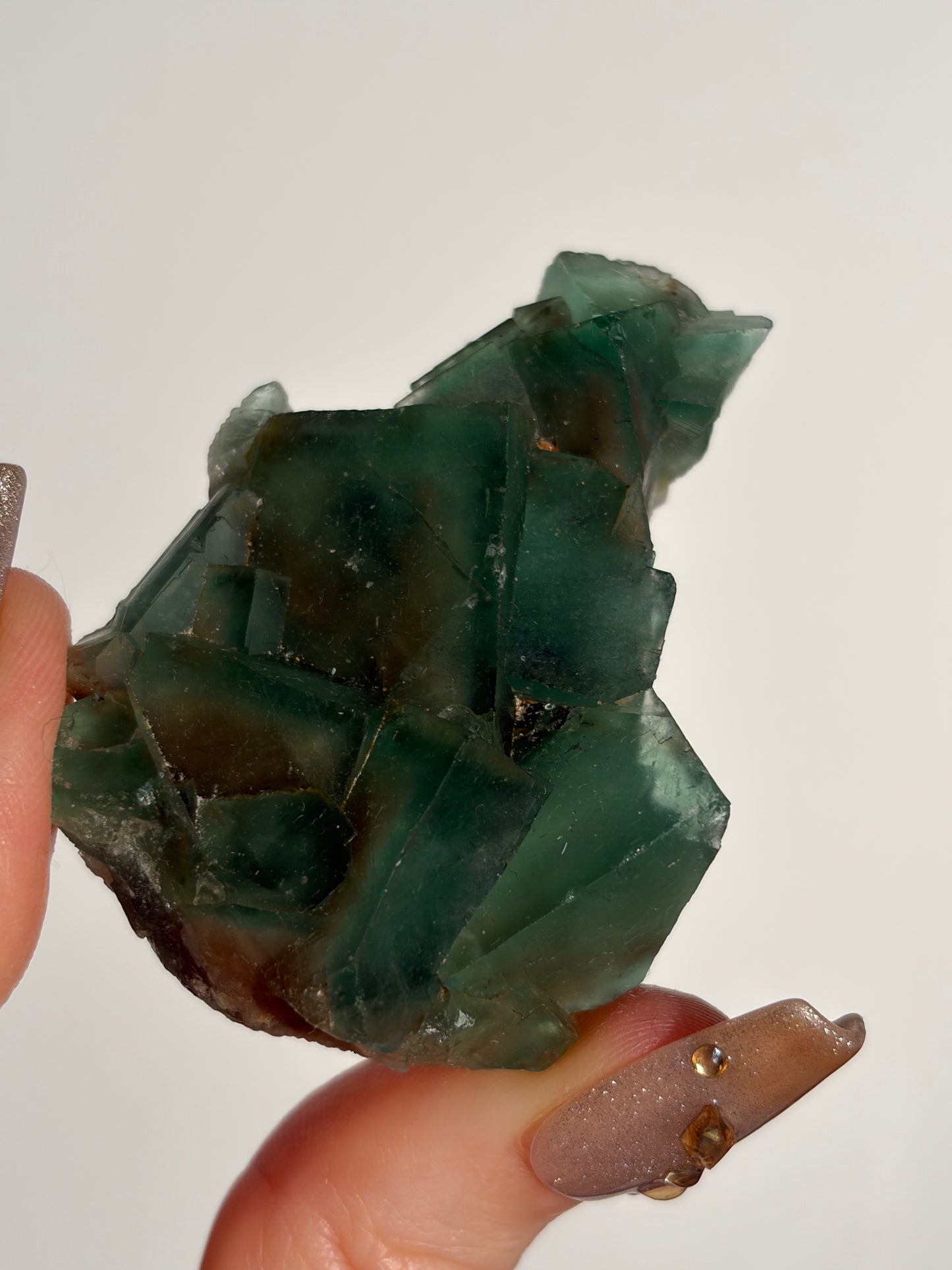 Halo Garden Fluorite Specimen B