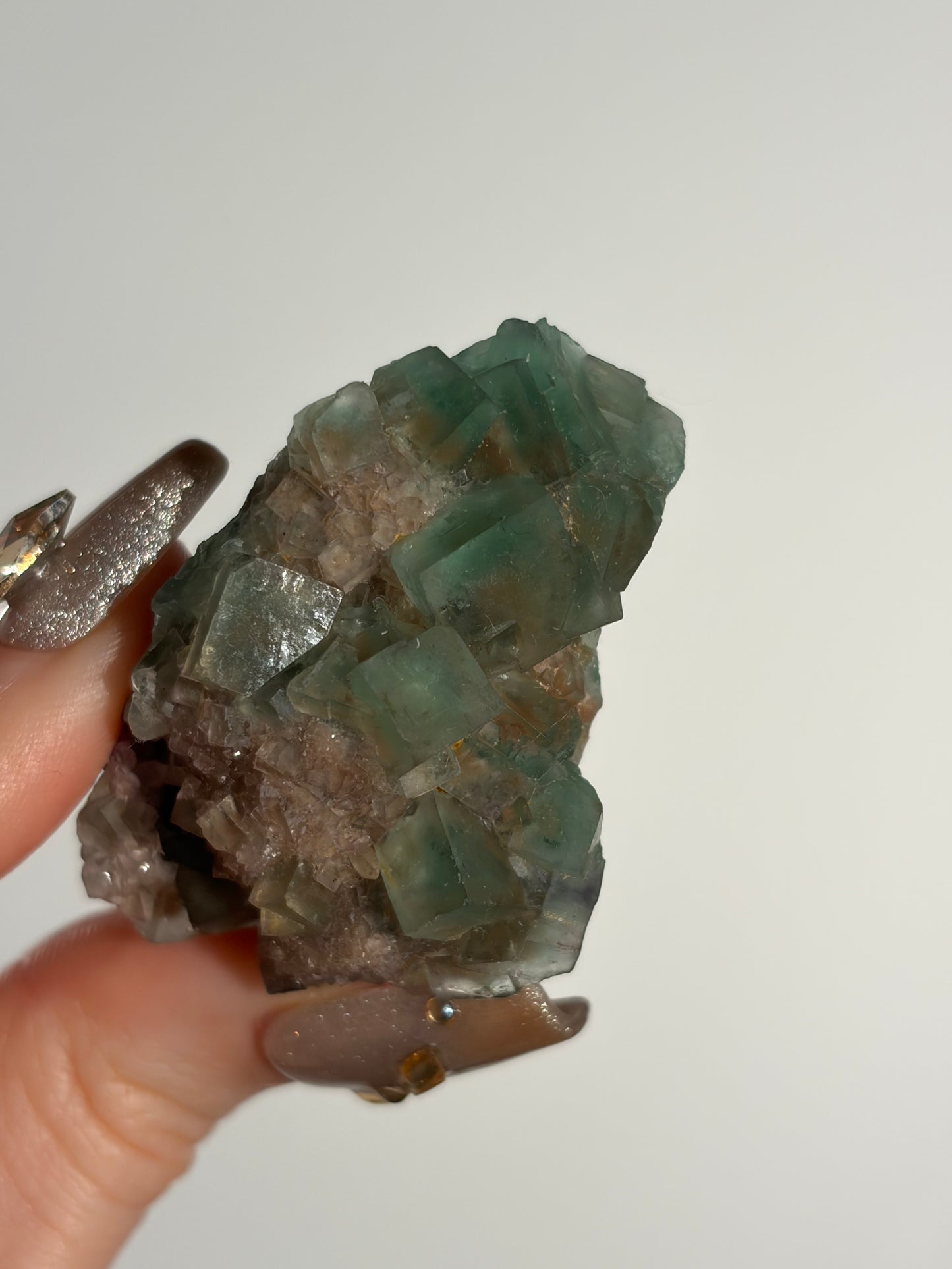 Halo Garden Fluorite Specimen G