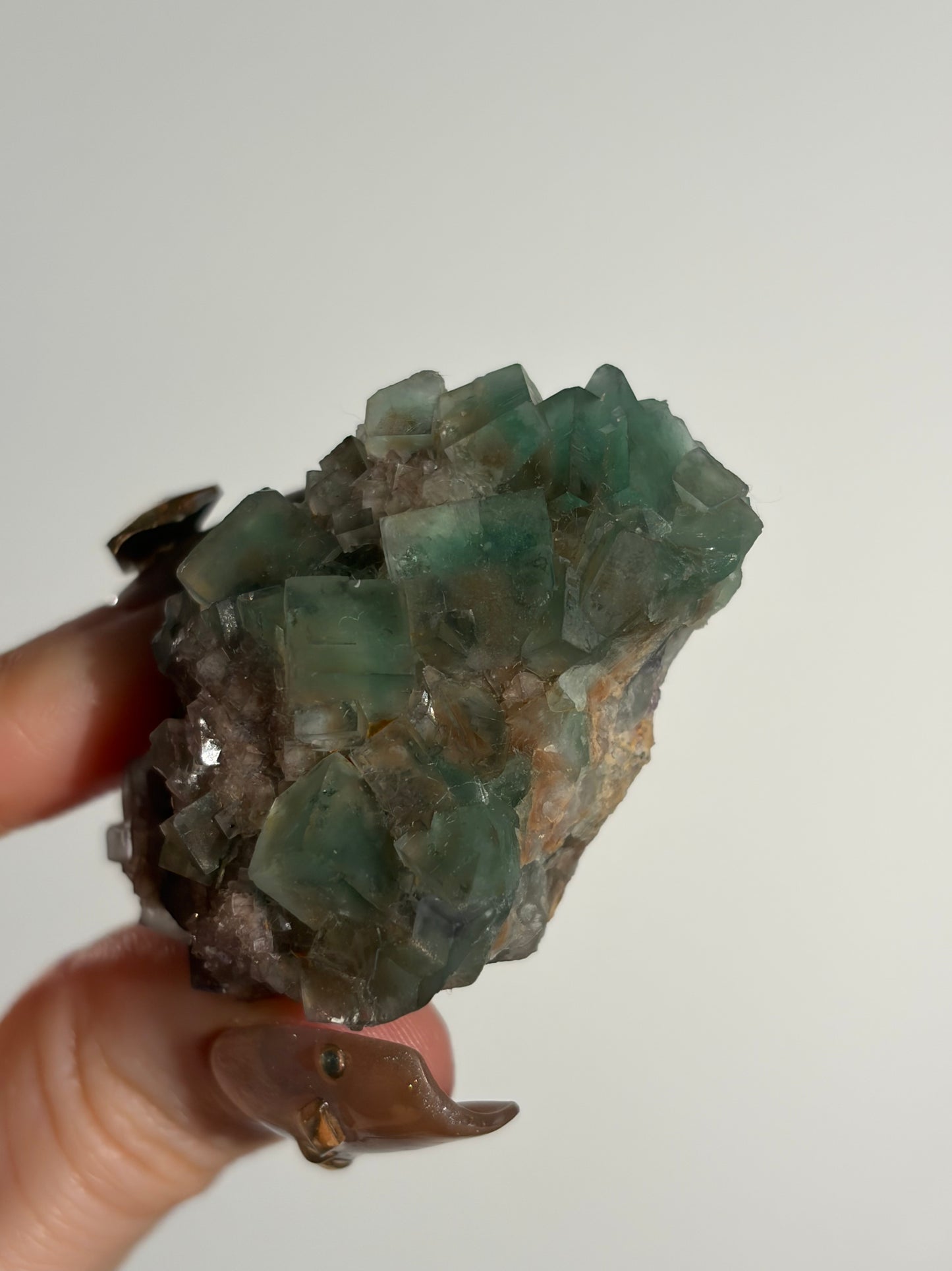 Halo Garden Fluorite Specimen G