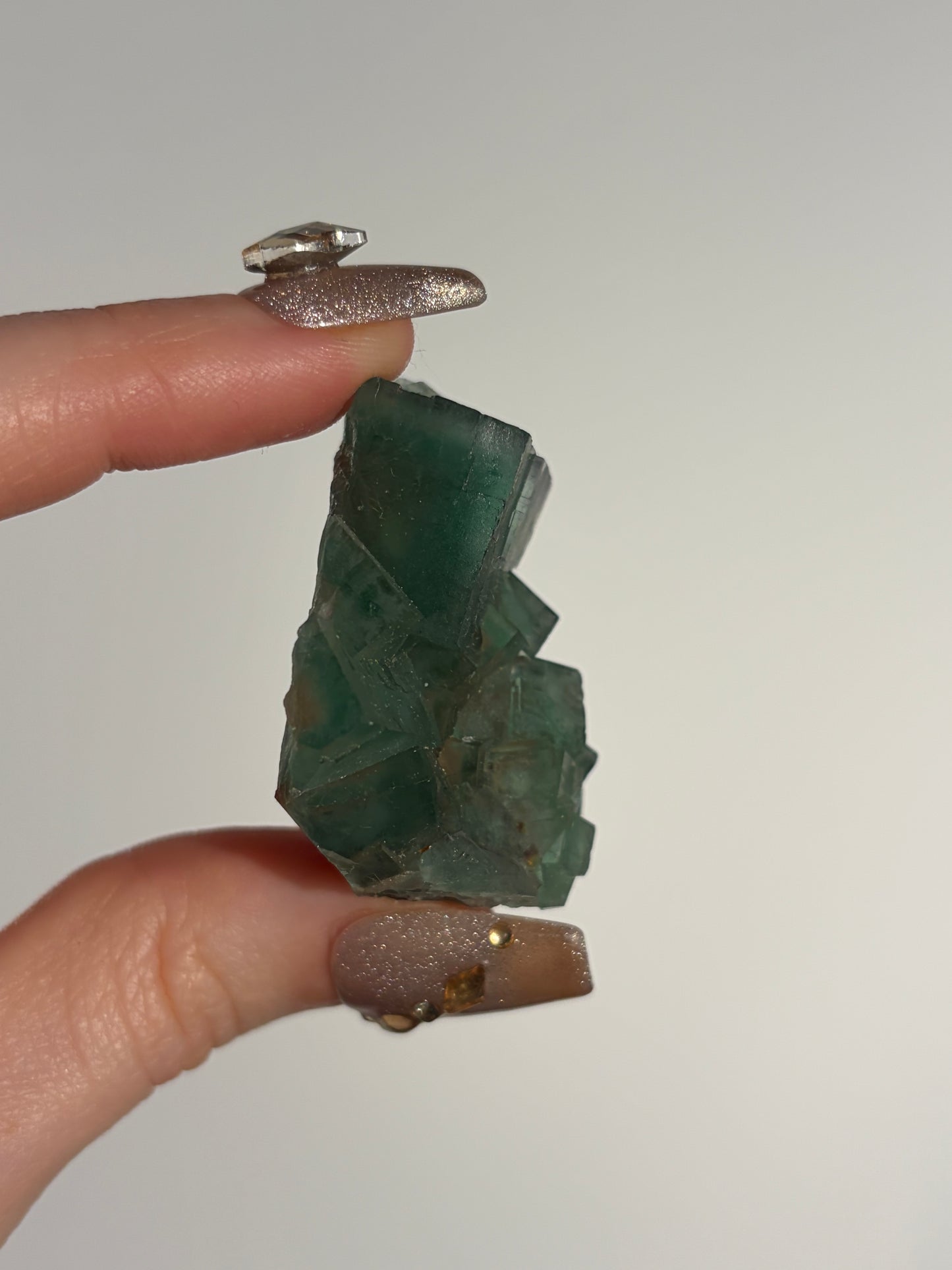 Halo Garden Fluorite Specimen H