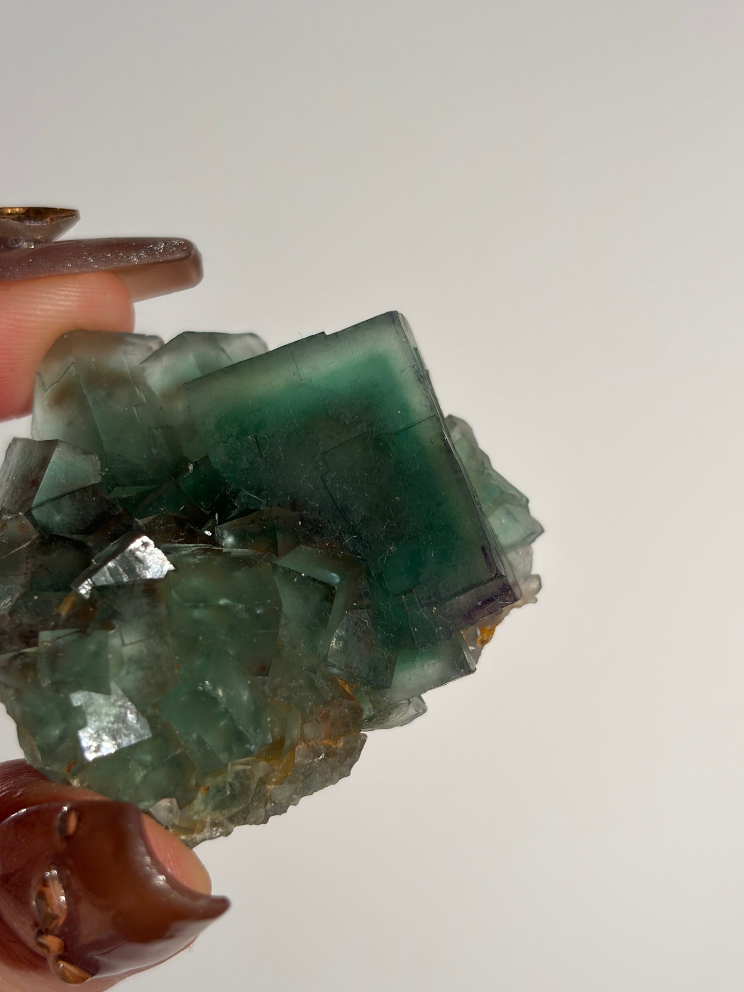 Halo Garden Fluorite Specimen H