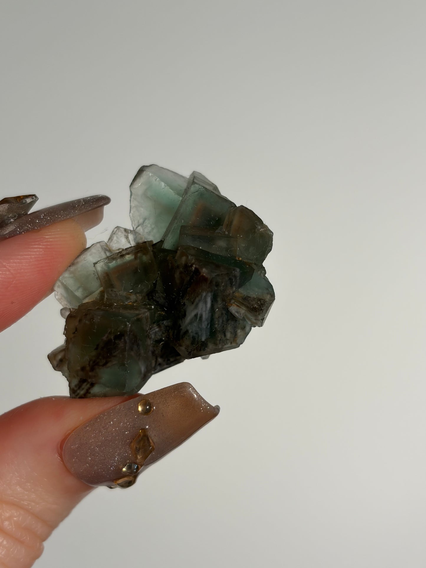 Halo Garden Fluorite Specimen J