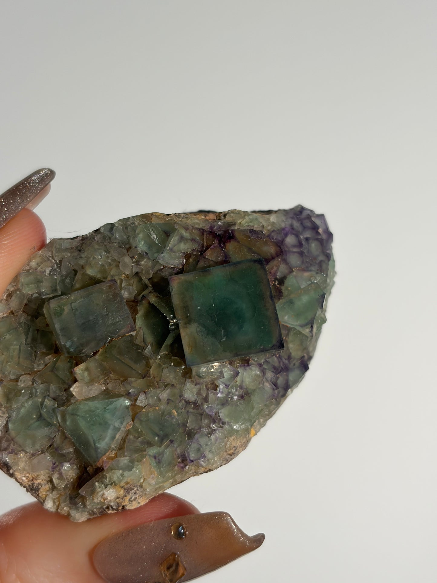 Halo Garden Fluorite Specimen K