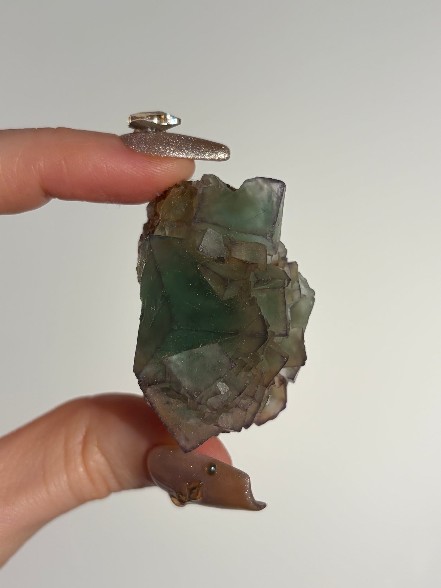 Halo Garden Fluorite Specimen L