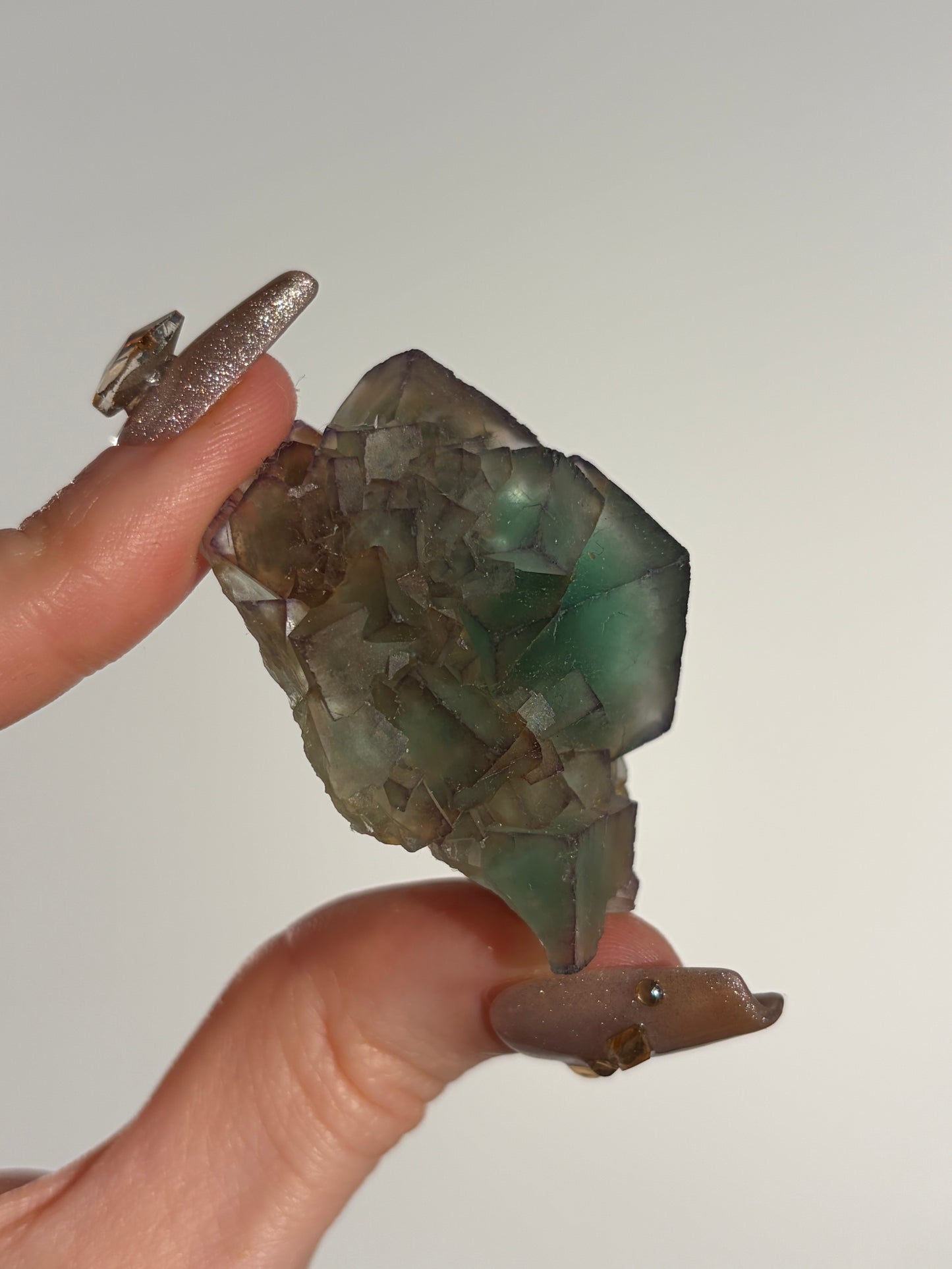 Halo Garden Fluorite Specimen L