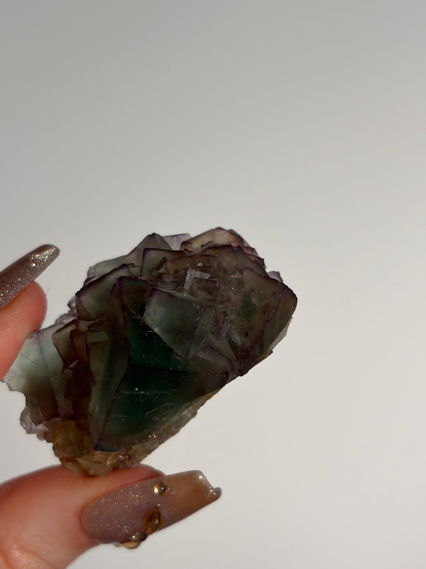 Halo Garden Fluorite Specimen L