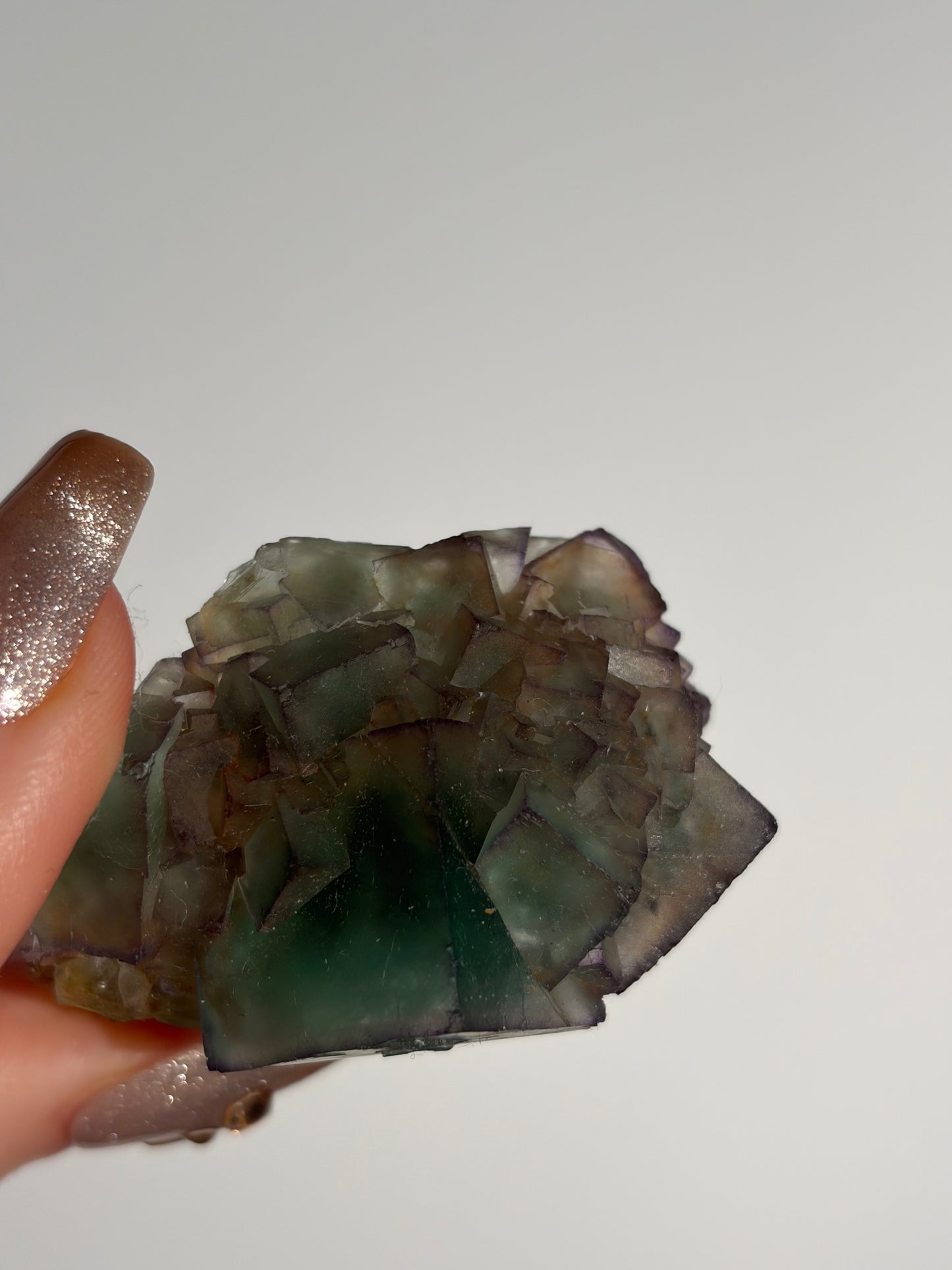 Halo Garden Fluorite Specimen L