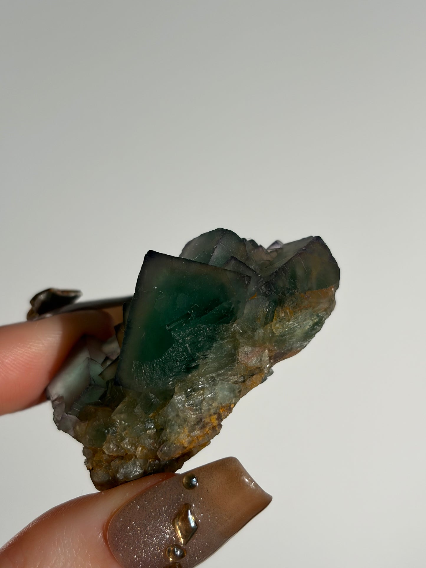Halo Garden Fluorite Specimen L