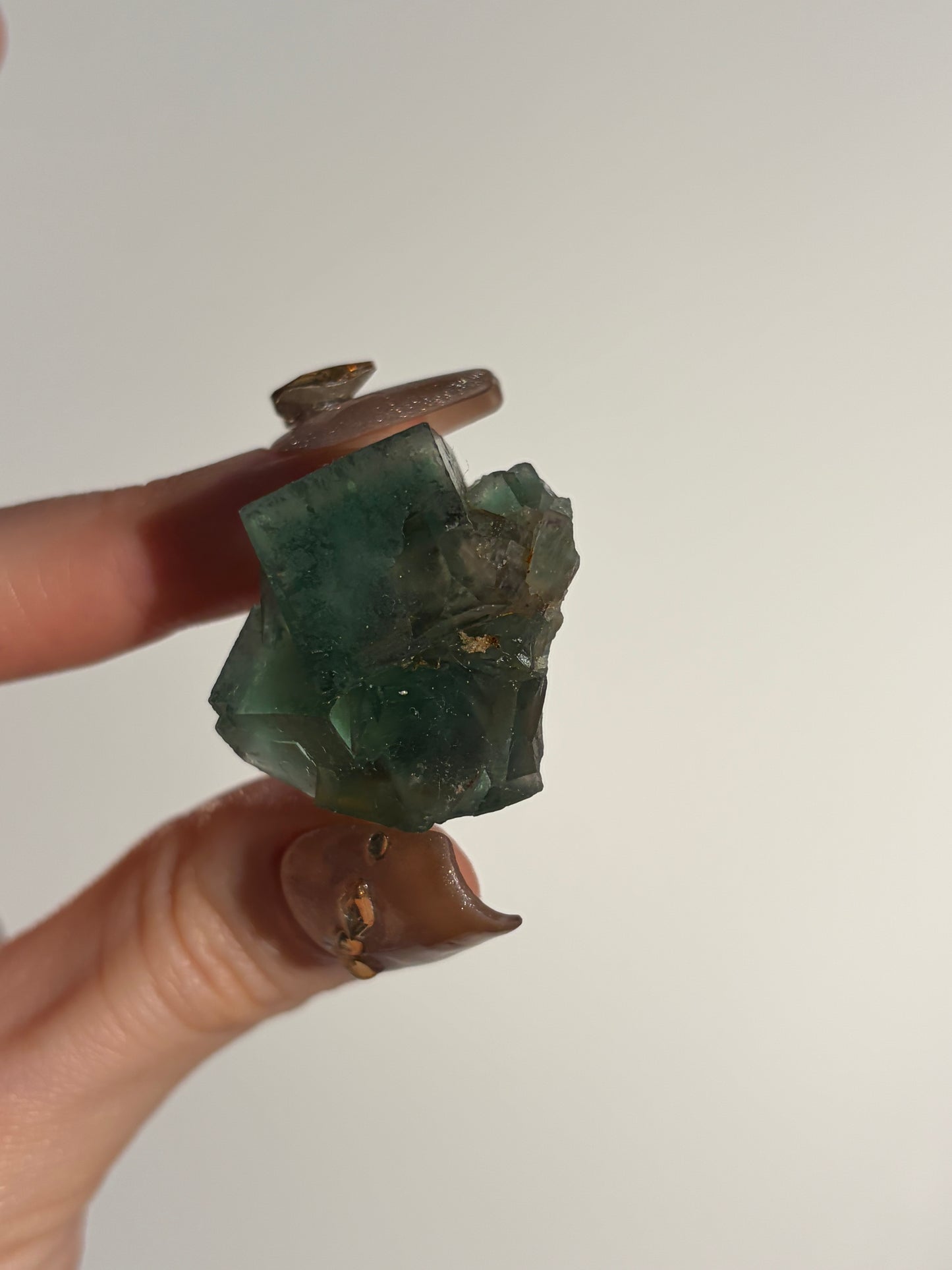 Halo Garden Fluorite Specimen M