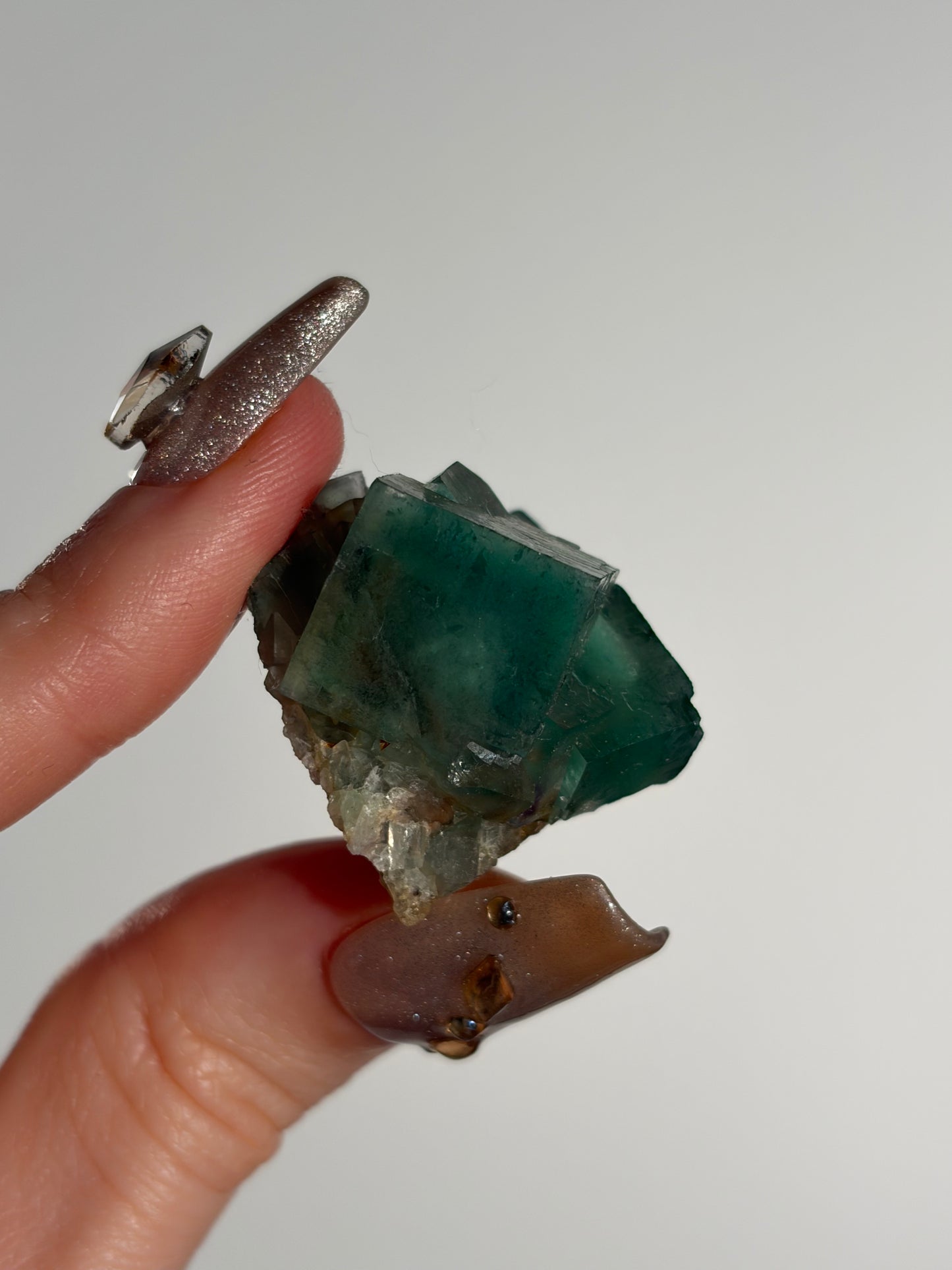 Halo Garden Fluorite Specimen M