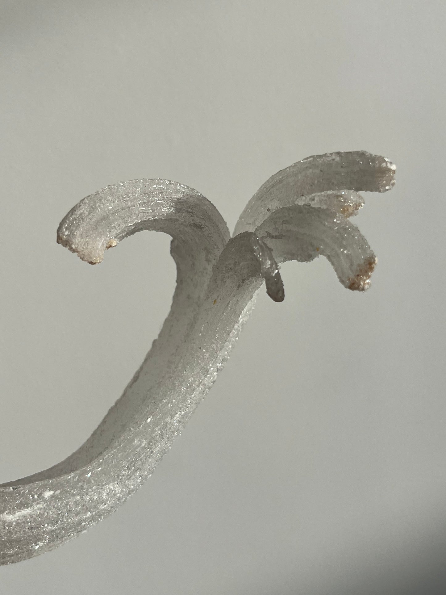 Selenite Horn Specimen A