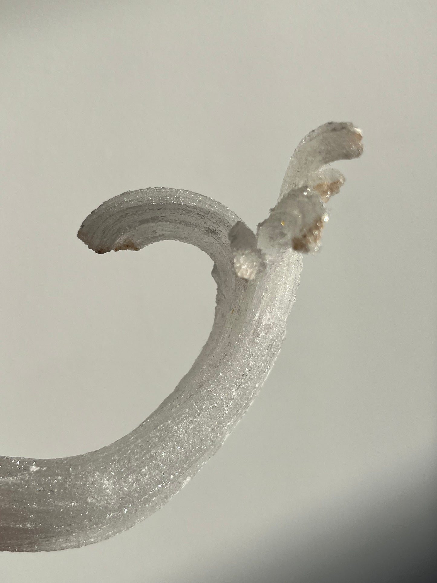 Selenite Horn Specimen A