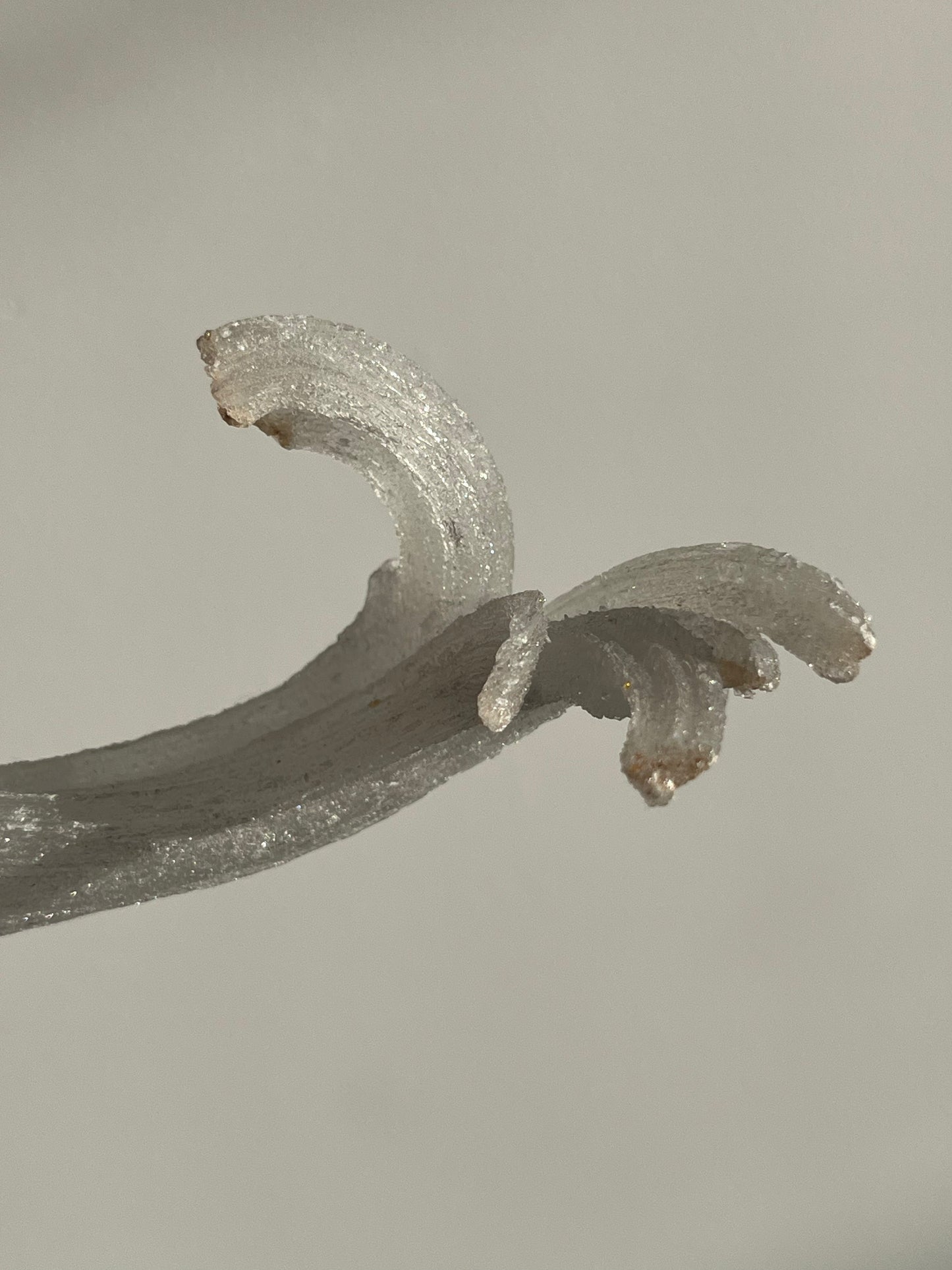 Selenite Horn Specimen A