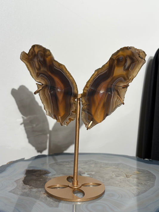 "Maxima" Agate Butterfly Wings on Custom Display Stand