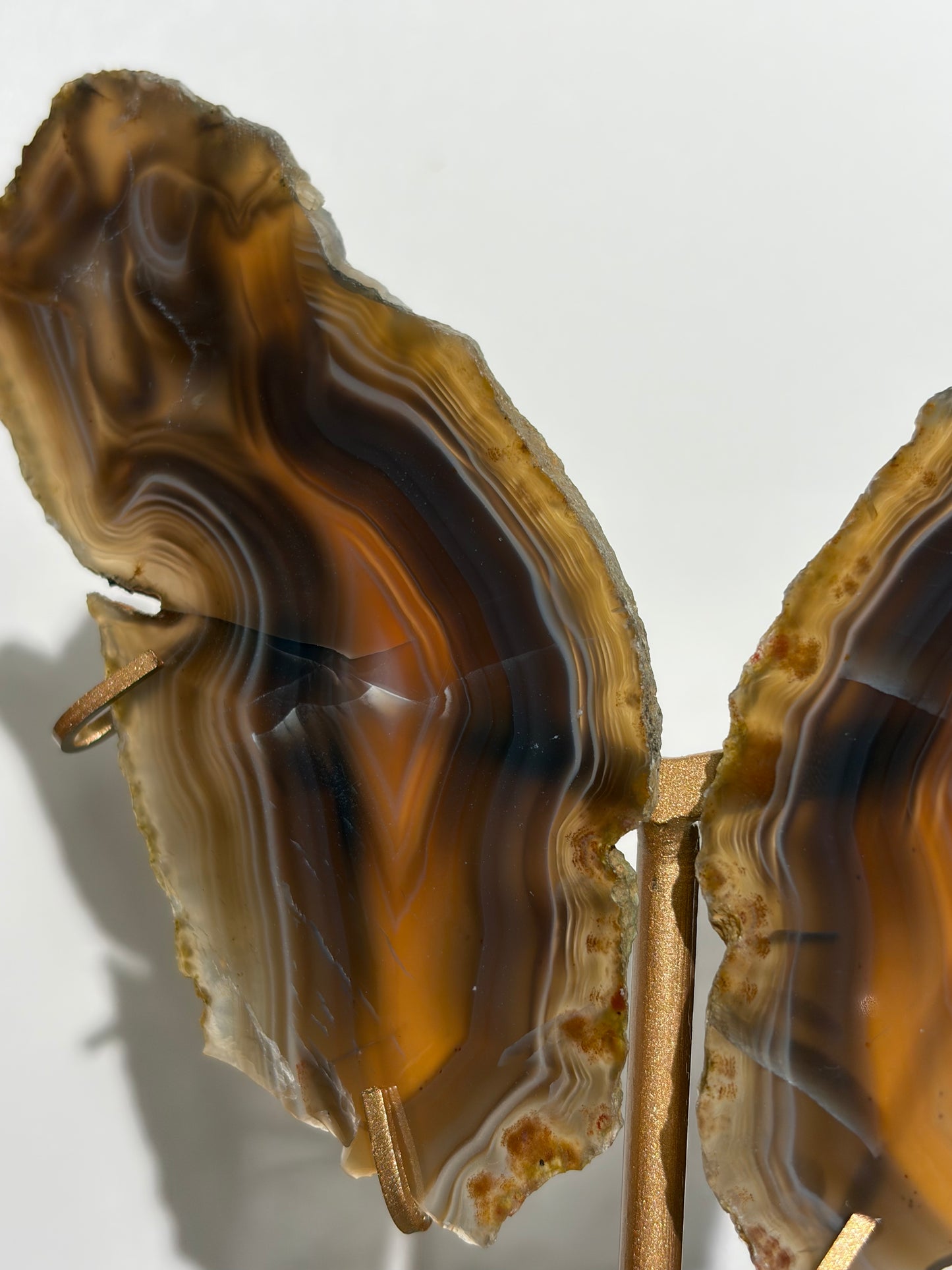 "Maxima" Agate Butterfly Wings on Custom Display Stand