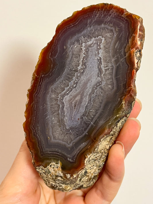 ‘Portal’ East Indonesian Blue Banded & Red Agate Quartz Geode