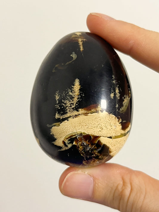 "Dragon's Egg" Indonesian Sumatran Amber Egg Carving #1