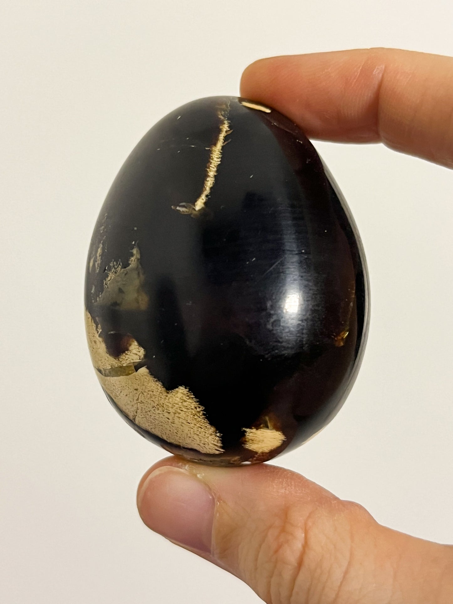 "Dragon's Egg" Indonesian Sumatran Amber Egg Carving #1