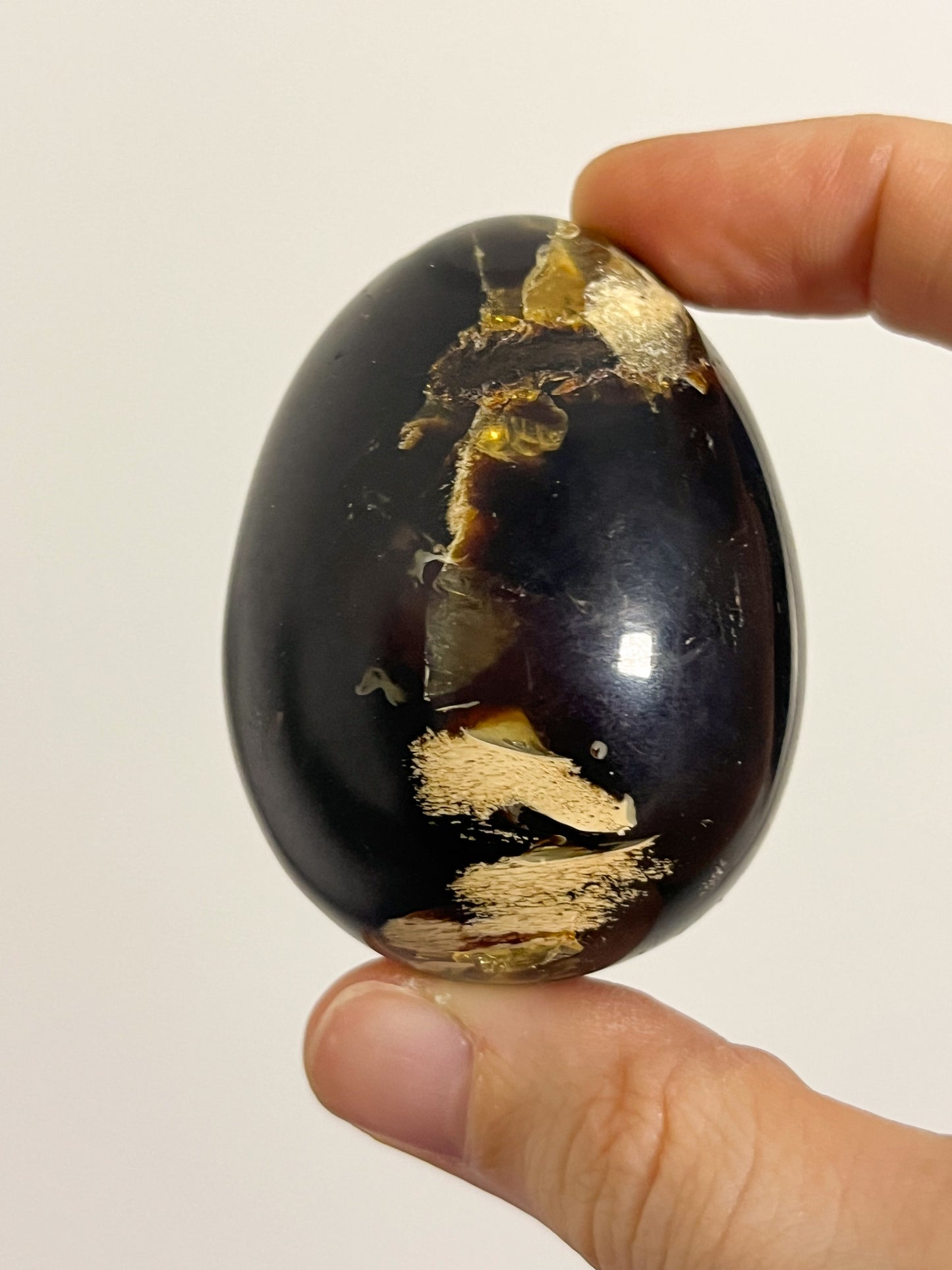 "Dragon's Egg" Indonesian Sumatran Amber Egg Carving #1