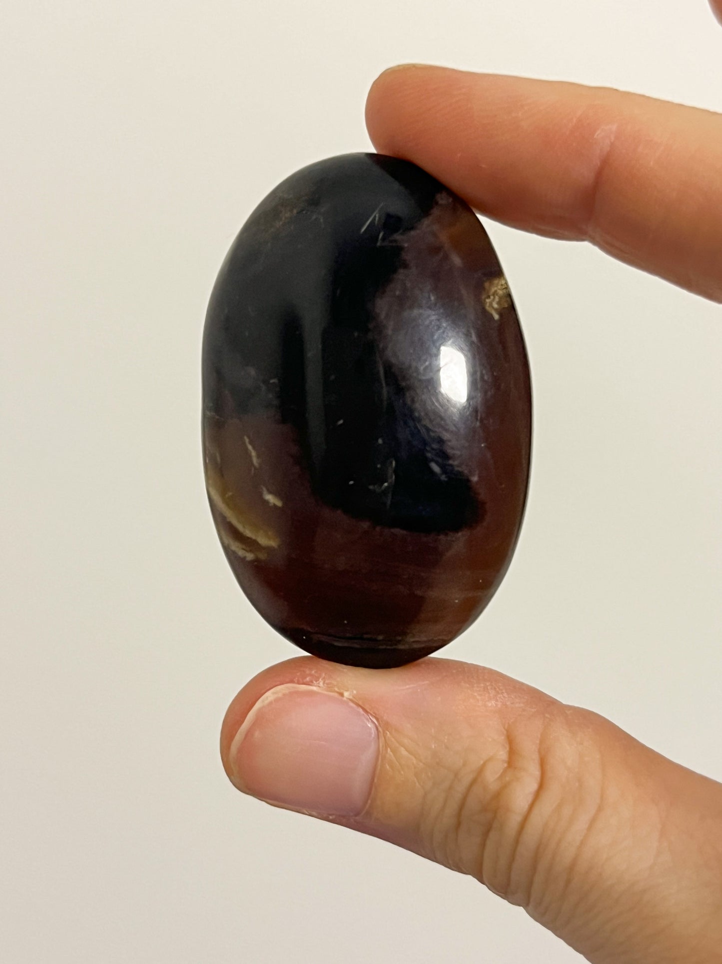 Indonesian Sumatran Amber Oval Palmstone #1