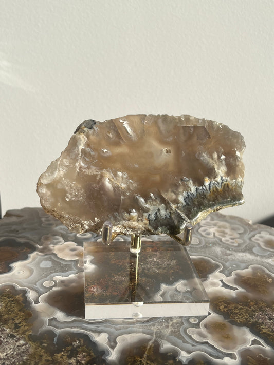 Flower Agate Slab with Dendritic & Green Moss Inclusions on Stand A