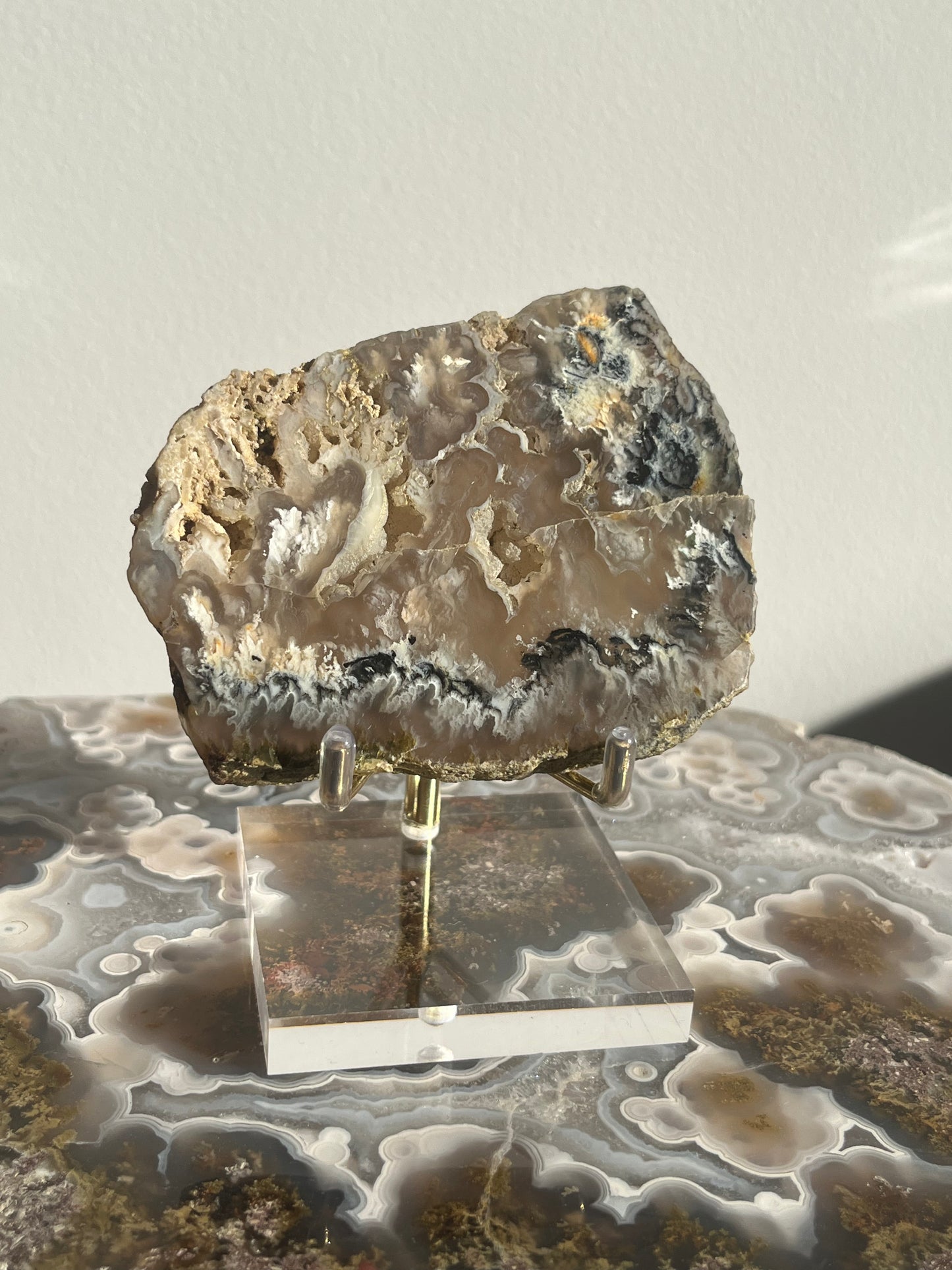 Flower Agate Slab with Green Moss & Dendritic Inclusions on Stand B