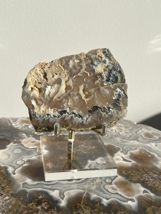 Flower Agate Slab with Green Moss & Dendritic Inclusions on Stand B