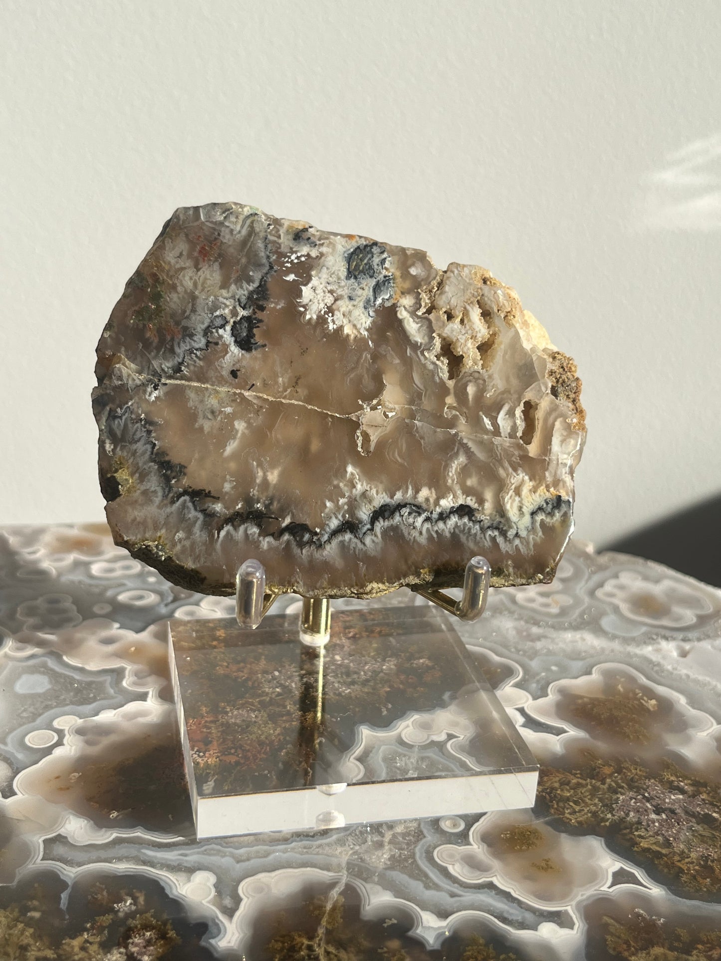 Flower Agate Slab with Green Moss & Dendritic Inclusions on Stand B