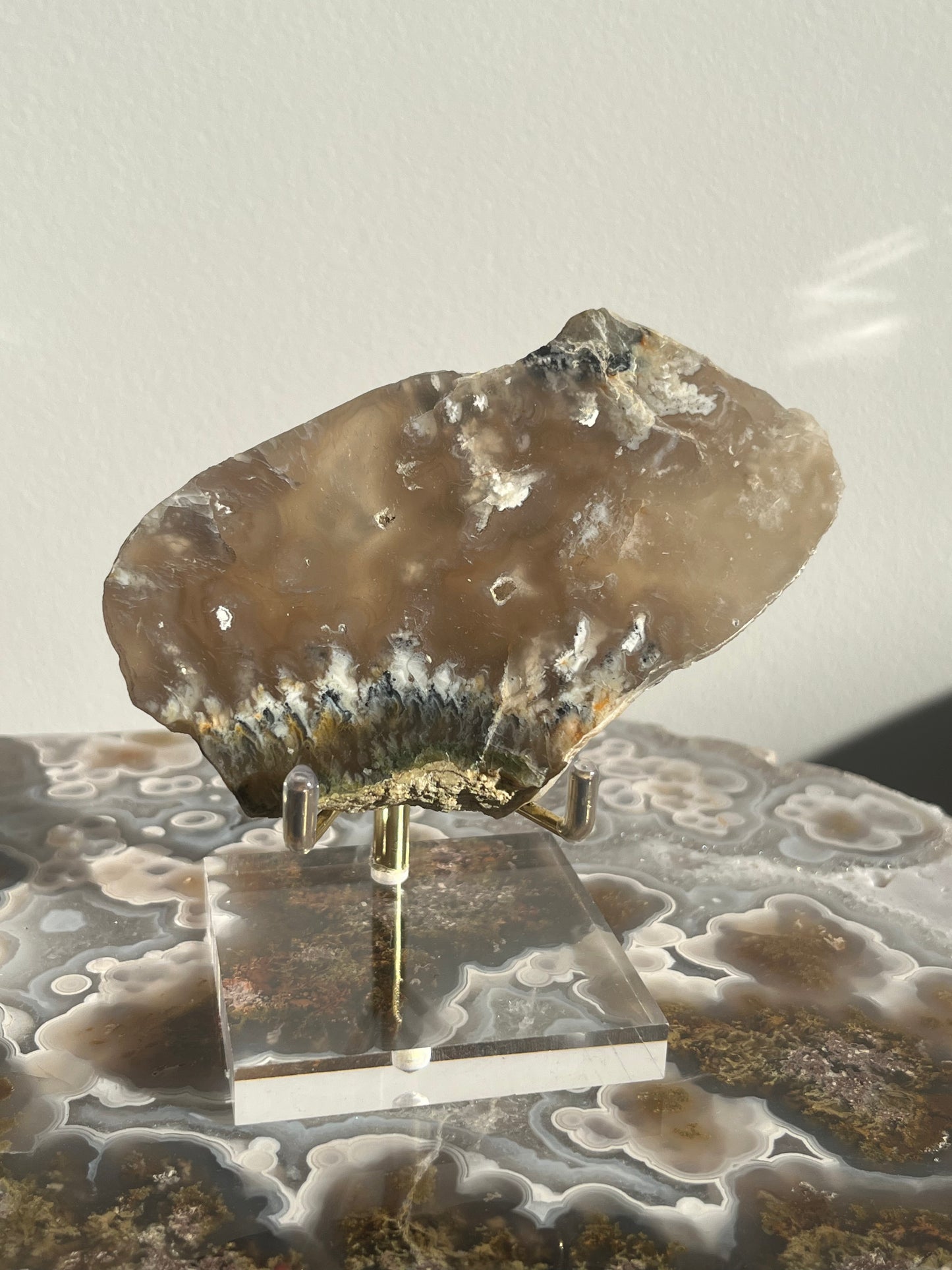 Flower Agate Slab with Green Moss & Dendritic Inclusions on Stand C