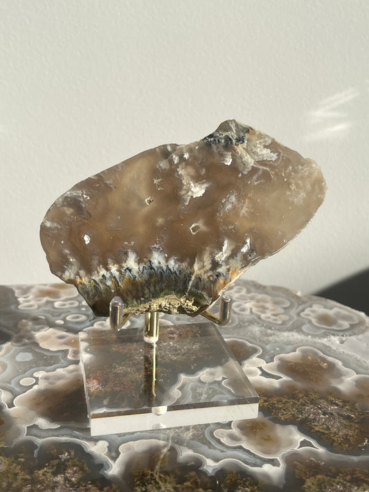 Flower Agate Slab with Green Moss & Dendritic Inclusions on Stand C