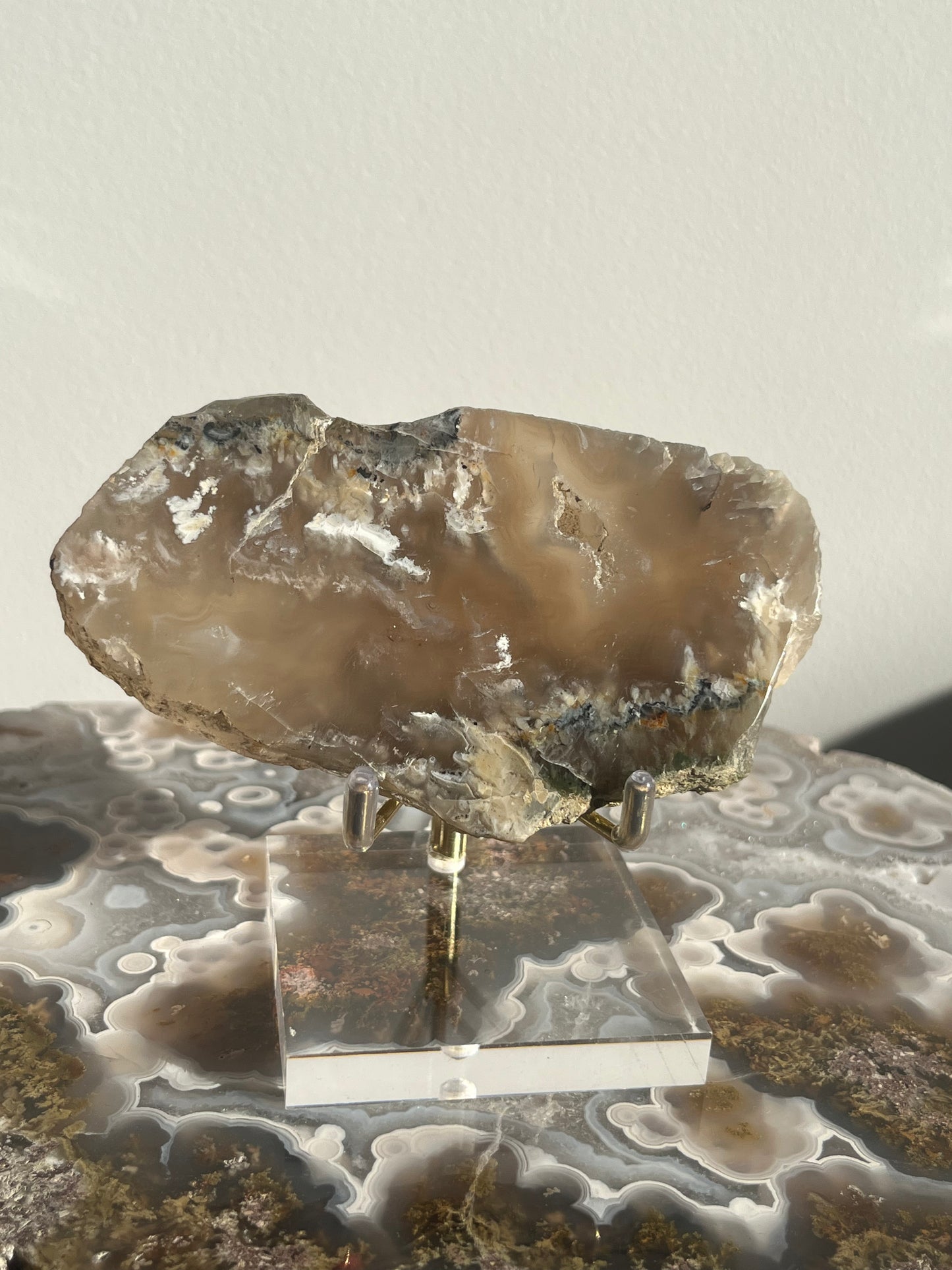 Flower Agate Slab with Green Moss & Dendritic Inclusions on Stand C