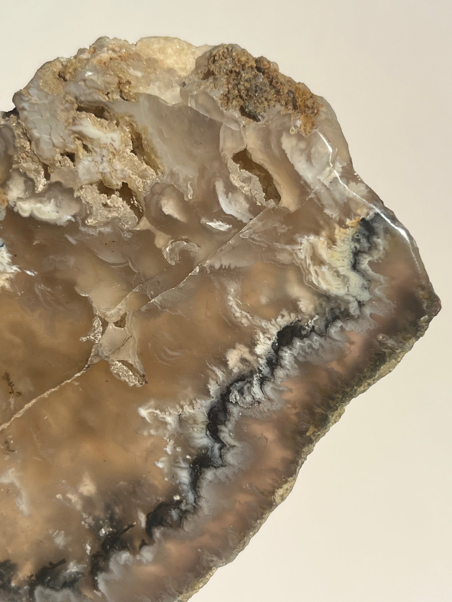 Flower Agate Slab with Green Moss & Dendritic Inclusions on Stand B