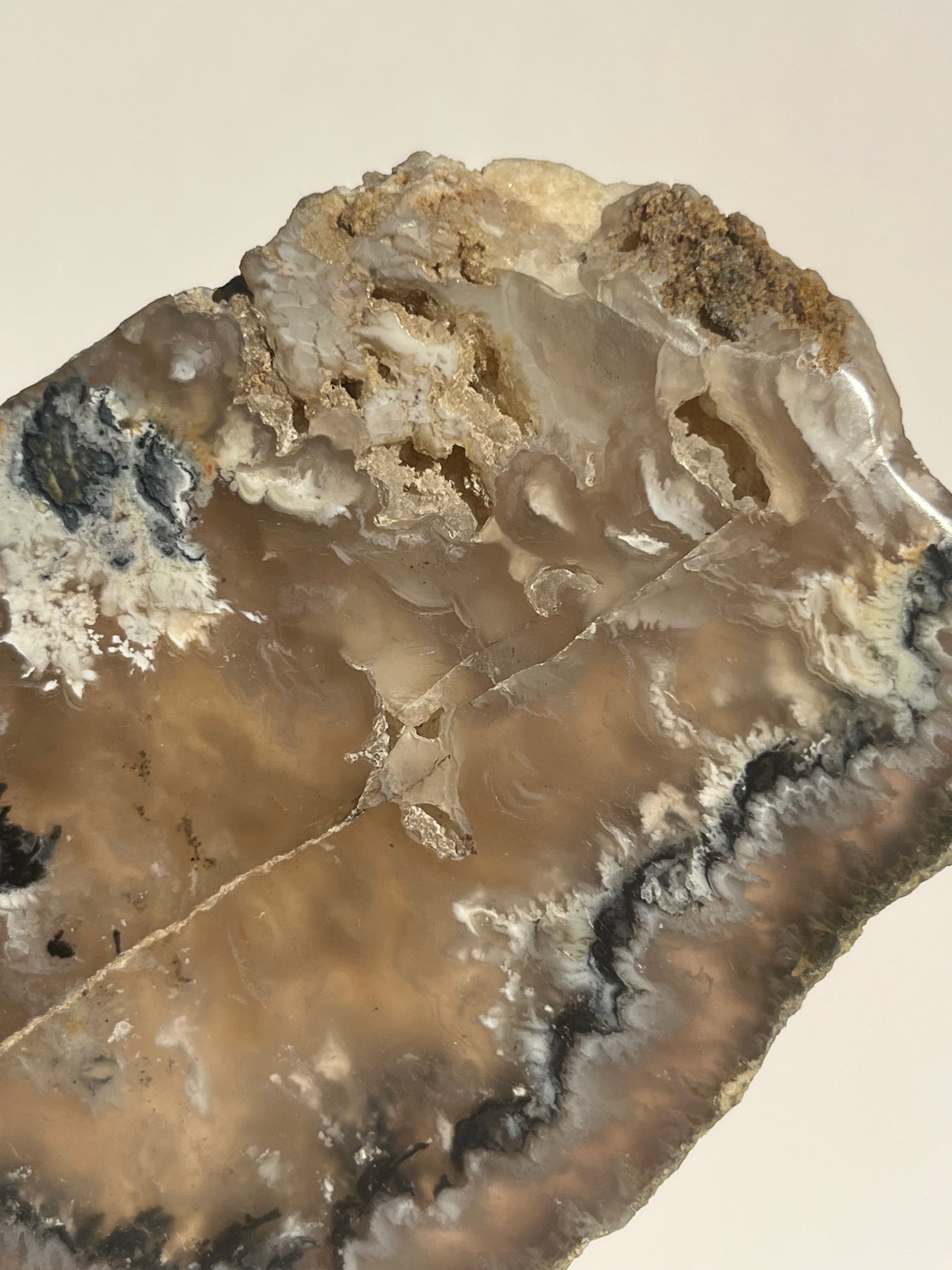 Flower Agate Slab with Green Moss & Dendritic Inclusions on Stand B