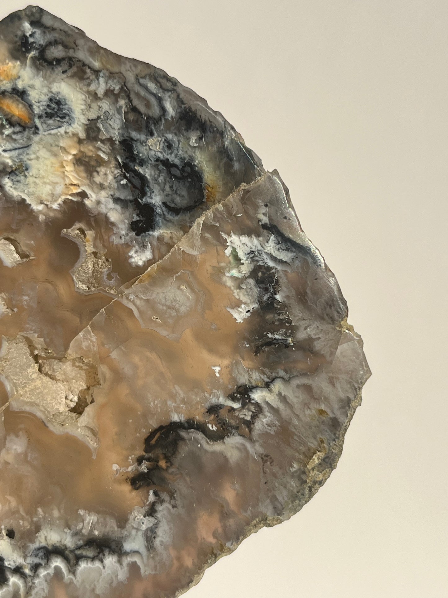 Flower Agate Slab with Green Moss & Dendritic Inclusions on Stand B
