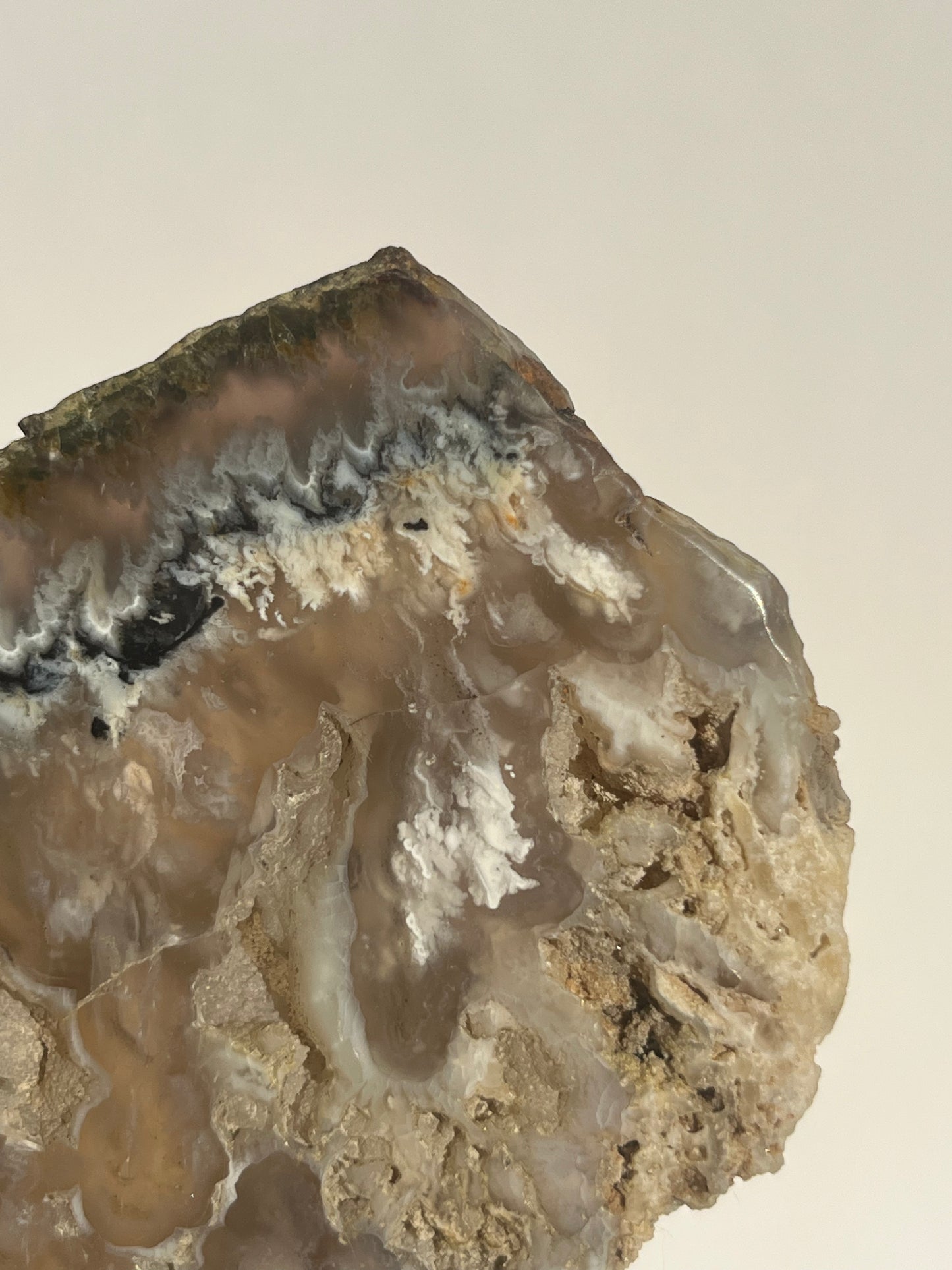 Flower Agate Slab with Green Moss & Dendritic Inclusions on Stand B
