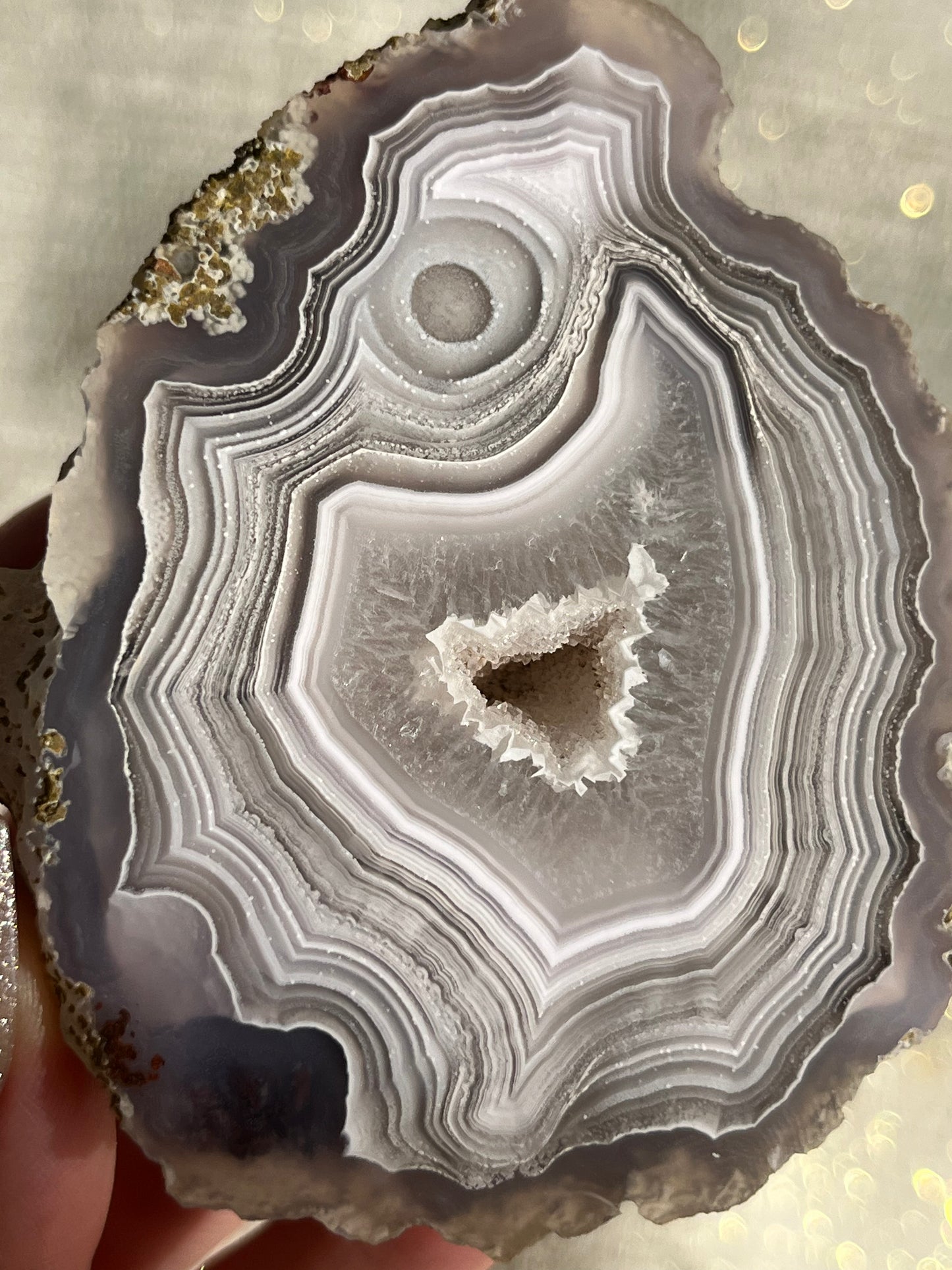 “Cyclops” Face Pattern Laguna Agate with Moss Inclusions and Parallax #D