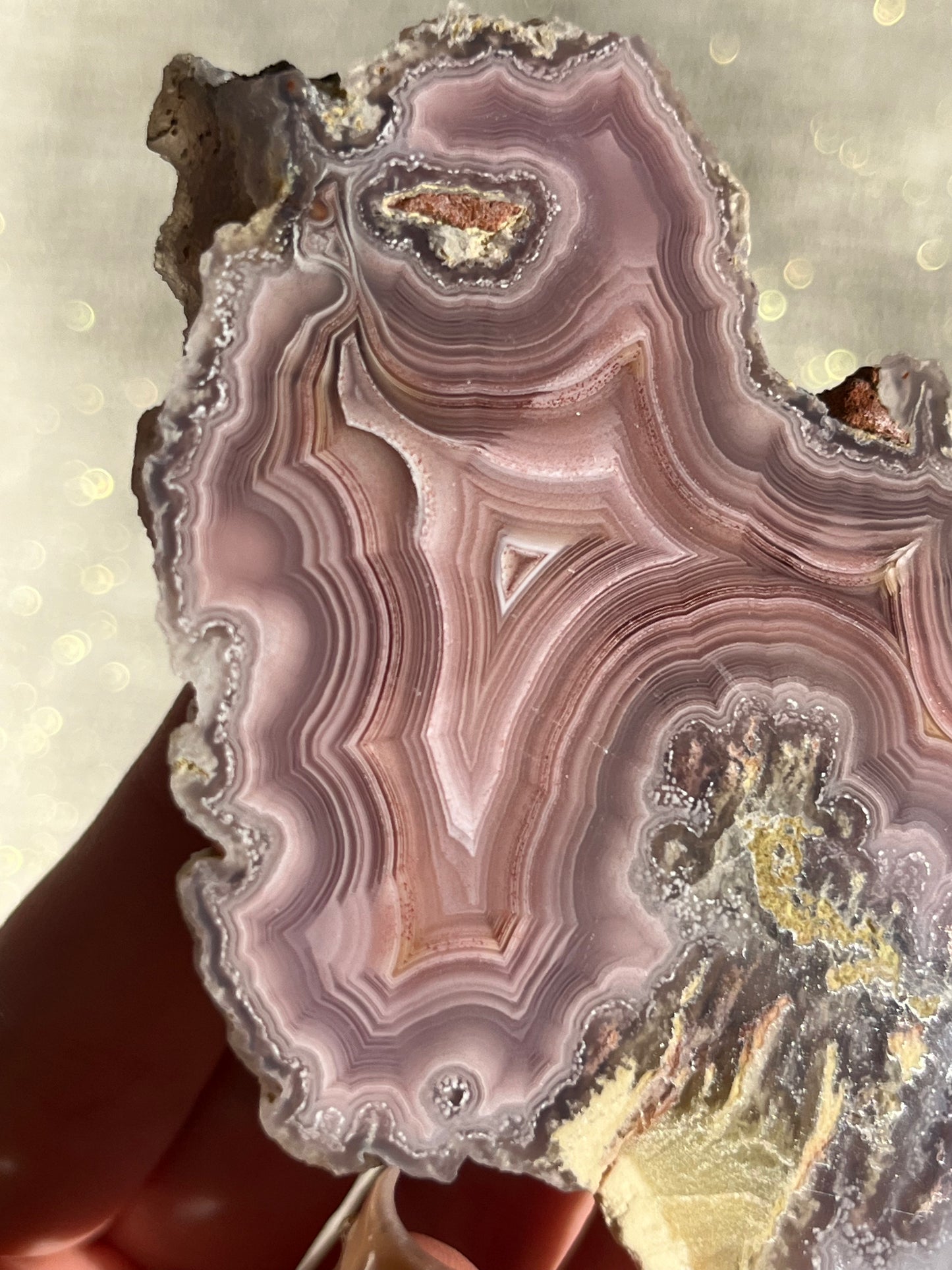 "Fantasia" Pink Laguna Agate with Moss Inclusions and Parallax #E