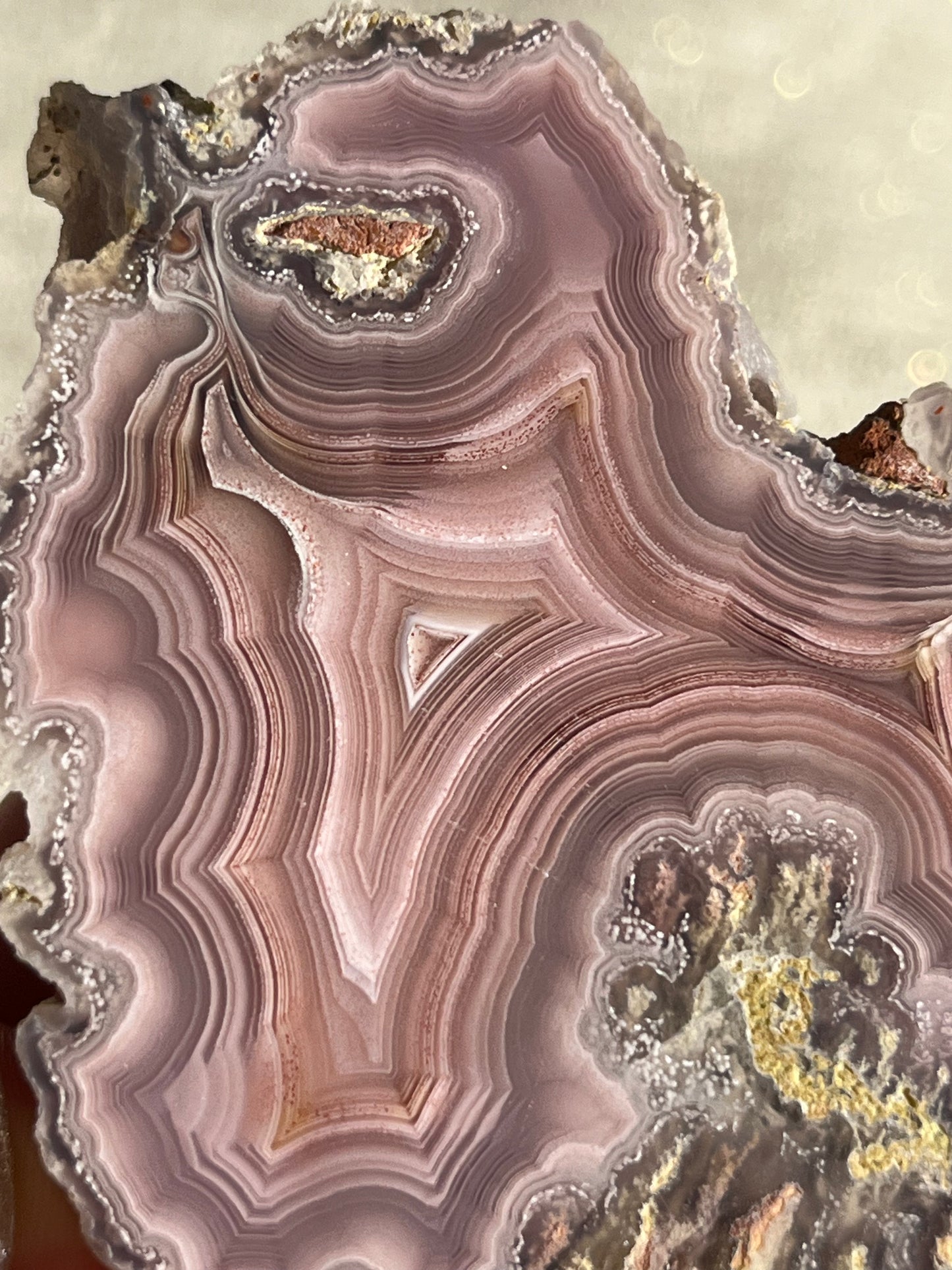 "Fantasia" Pink Laguna Agate with Moss Inclusions and Parallax #E