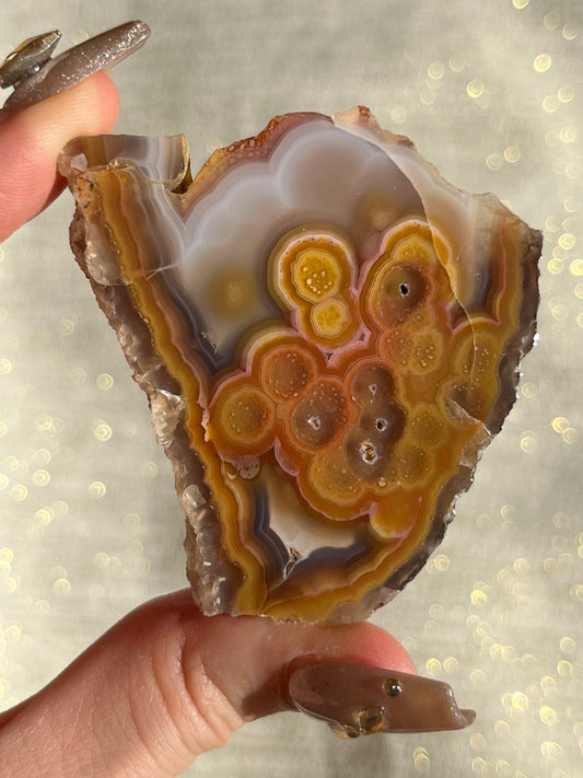 "Sunrise Sunset" Orange Floral Pattern Laguna Agate #F